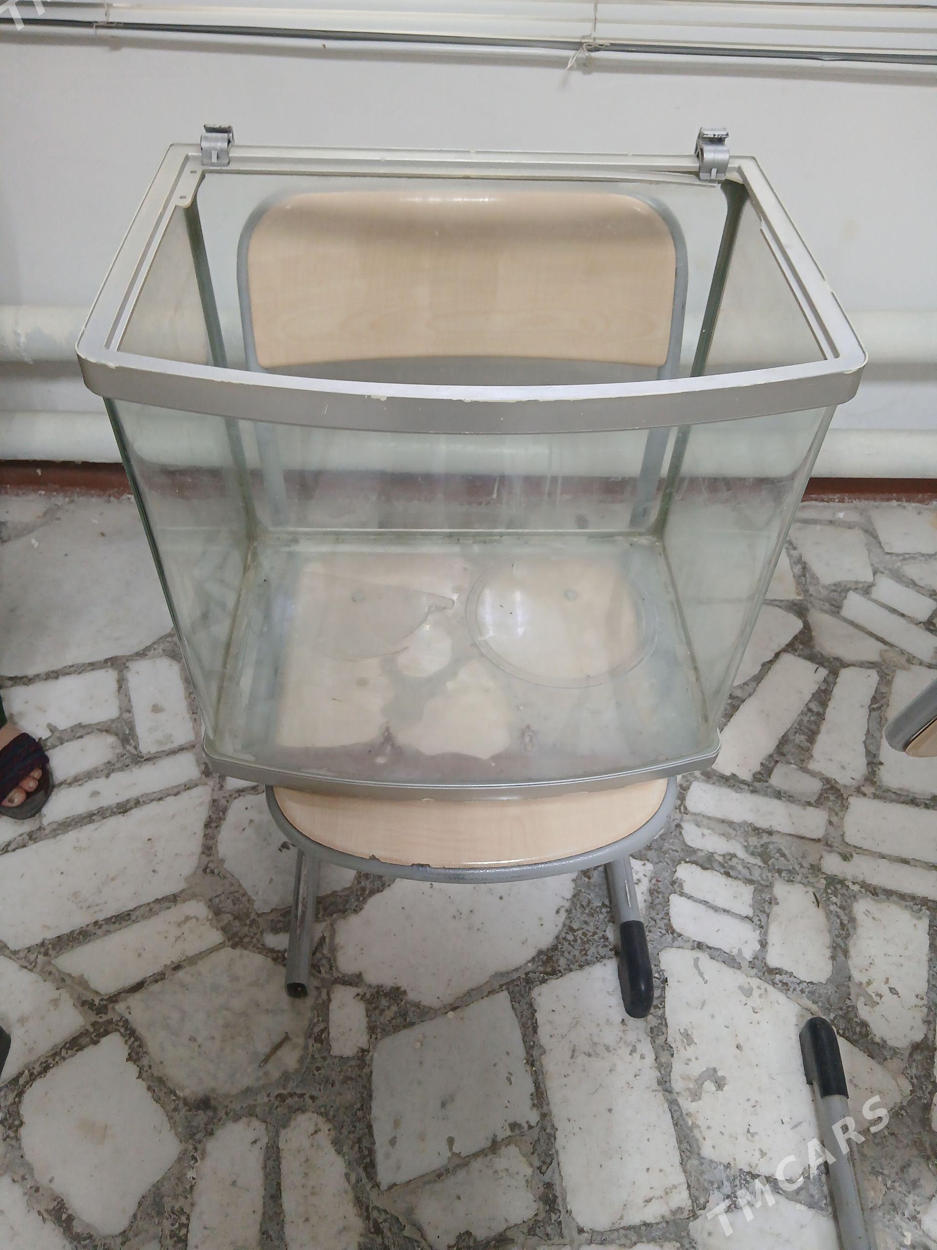 Akwaryum - 30 mkr - img 1