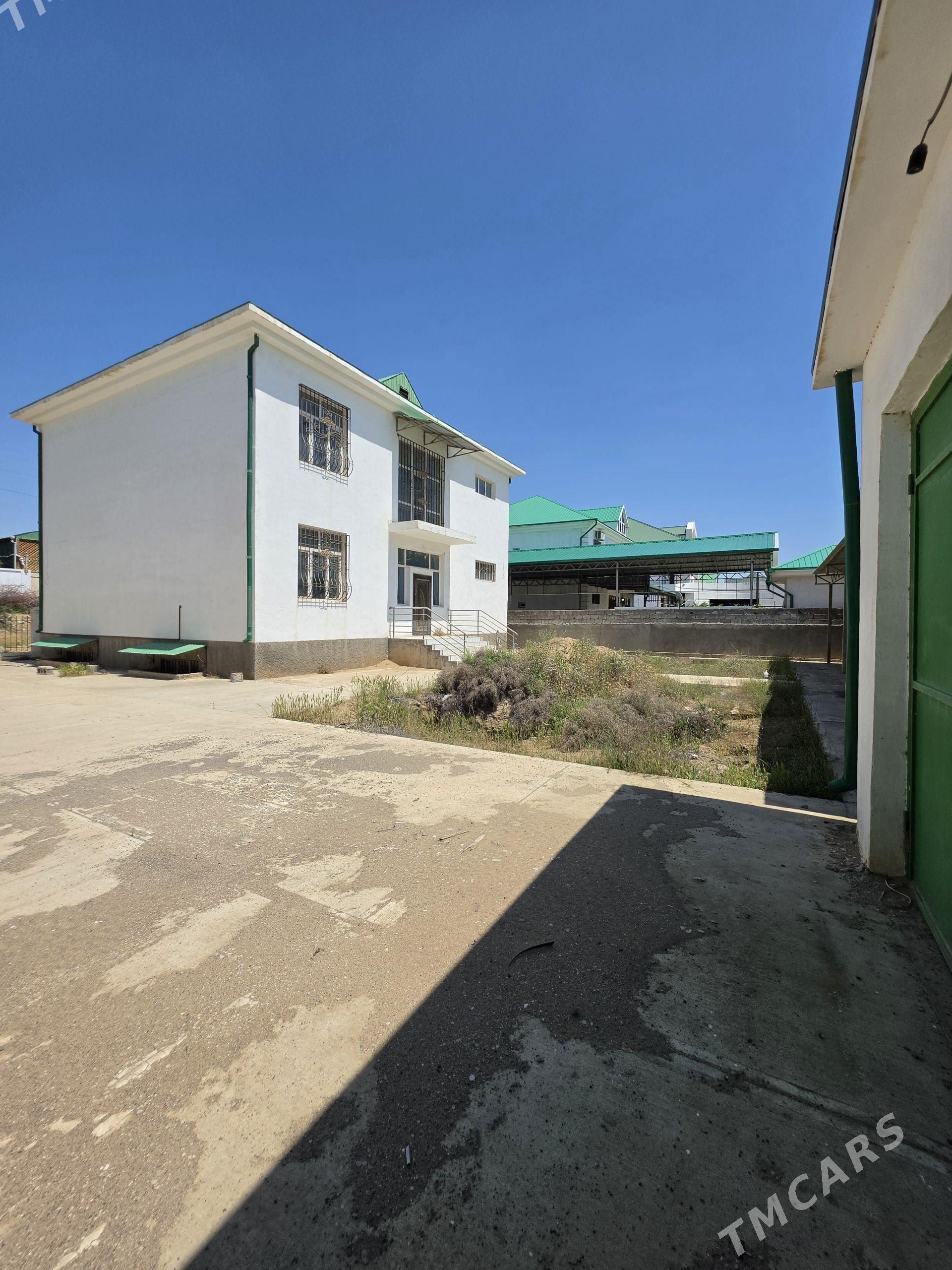 Anew Gos Kotež Satlyk! 8sotyk - Анев - img 1