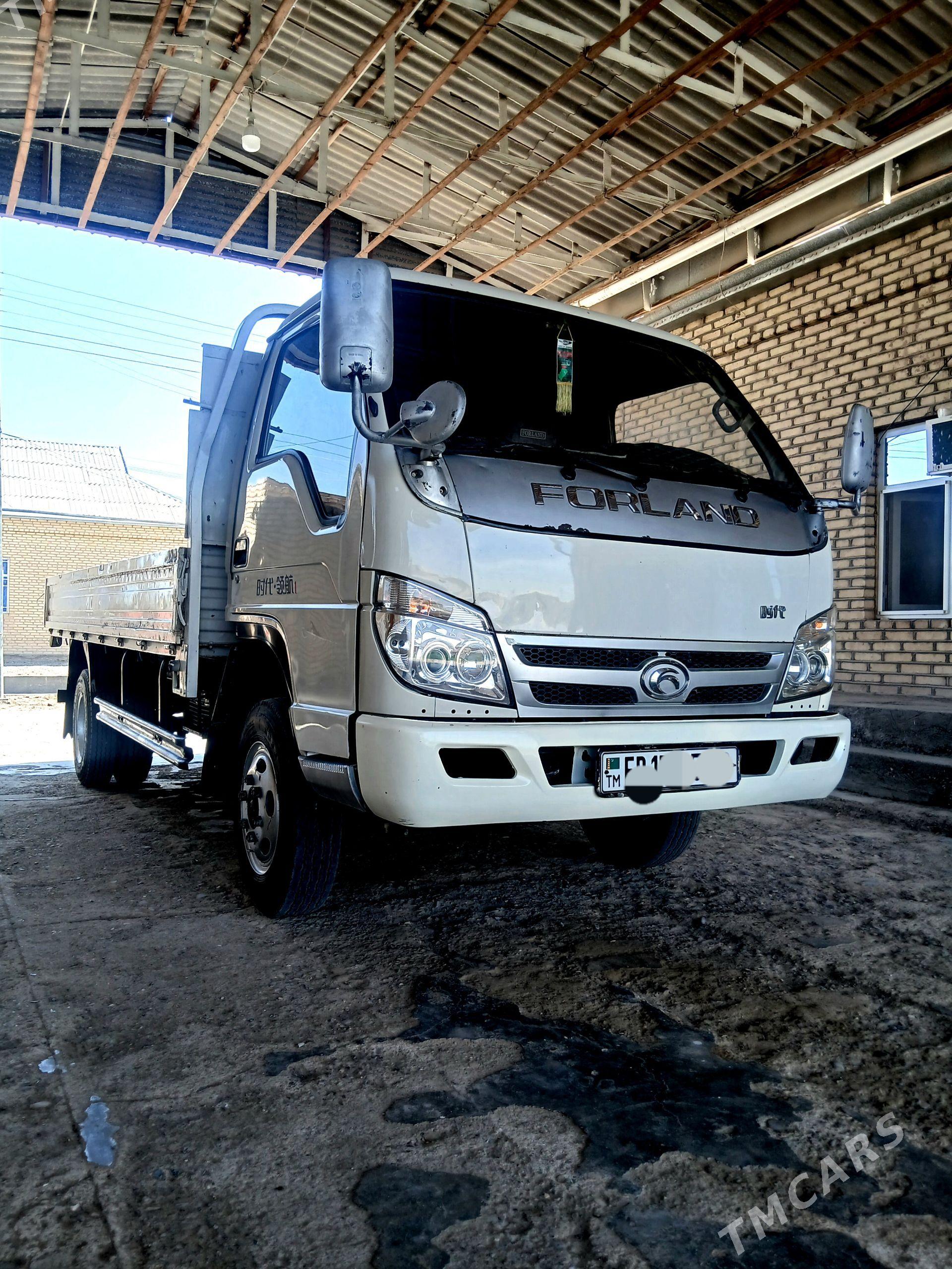 Forland H3 2014 - 152 000 TMT - Mary - img 1