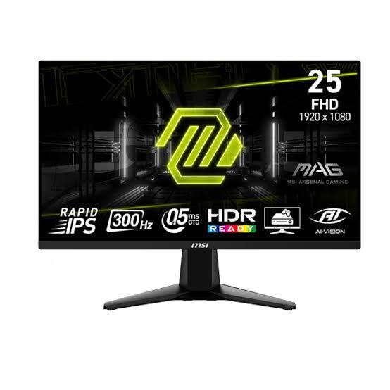 Монитор MSI MAG 25" 300Hz - Aşgabat - img 1