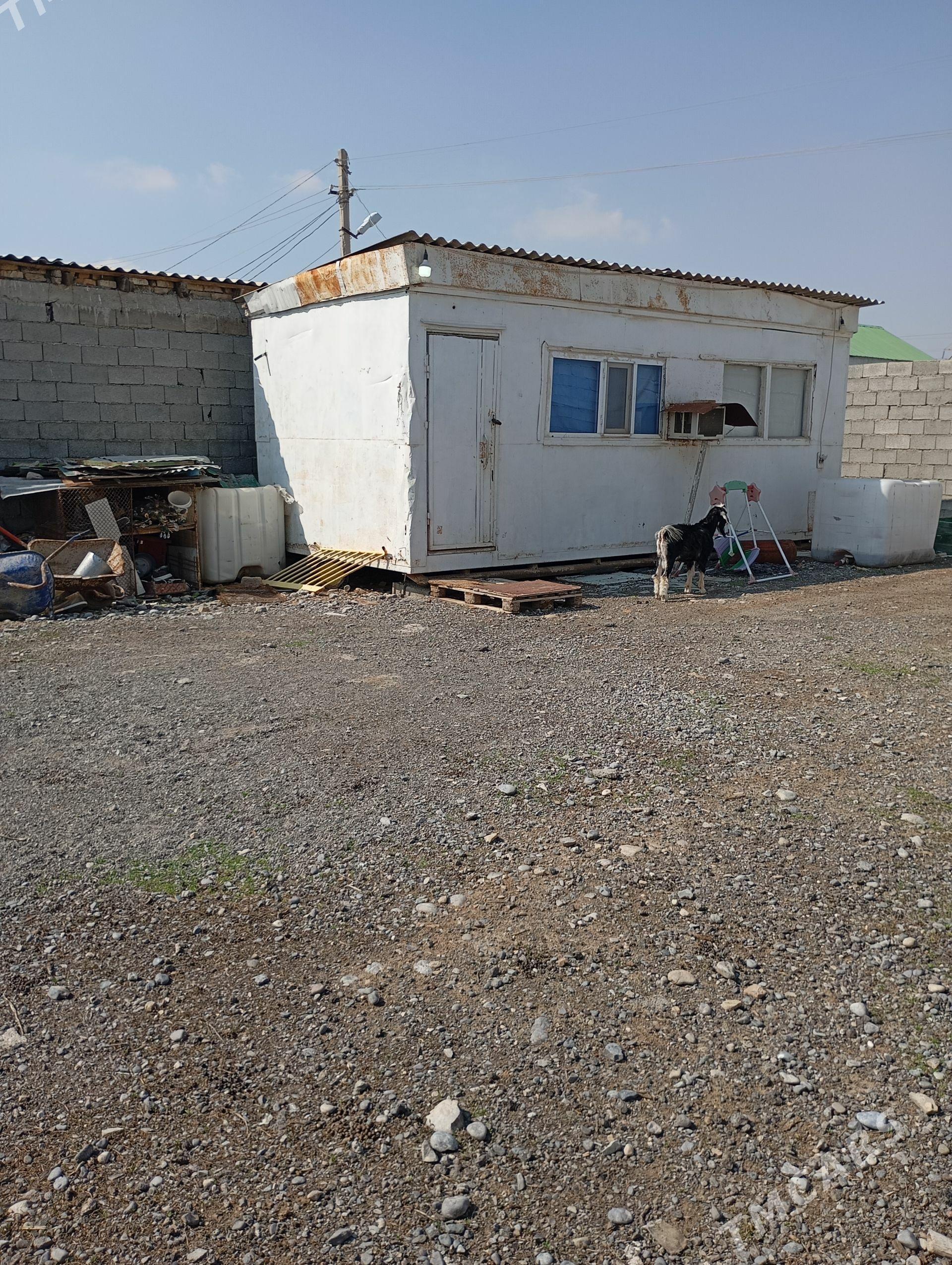 mellek - Aşgabat - img 1