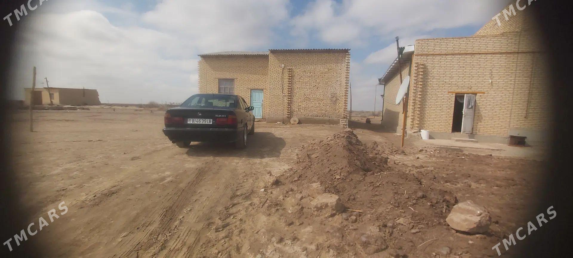 Göynük Kazak owada mellek sat - Дянев - img 1