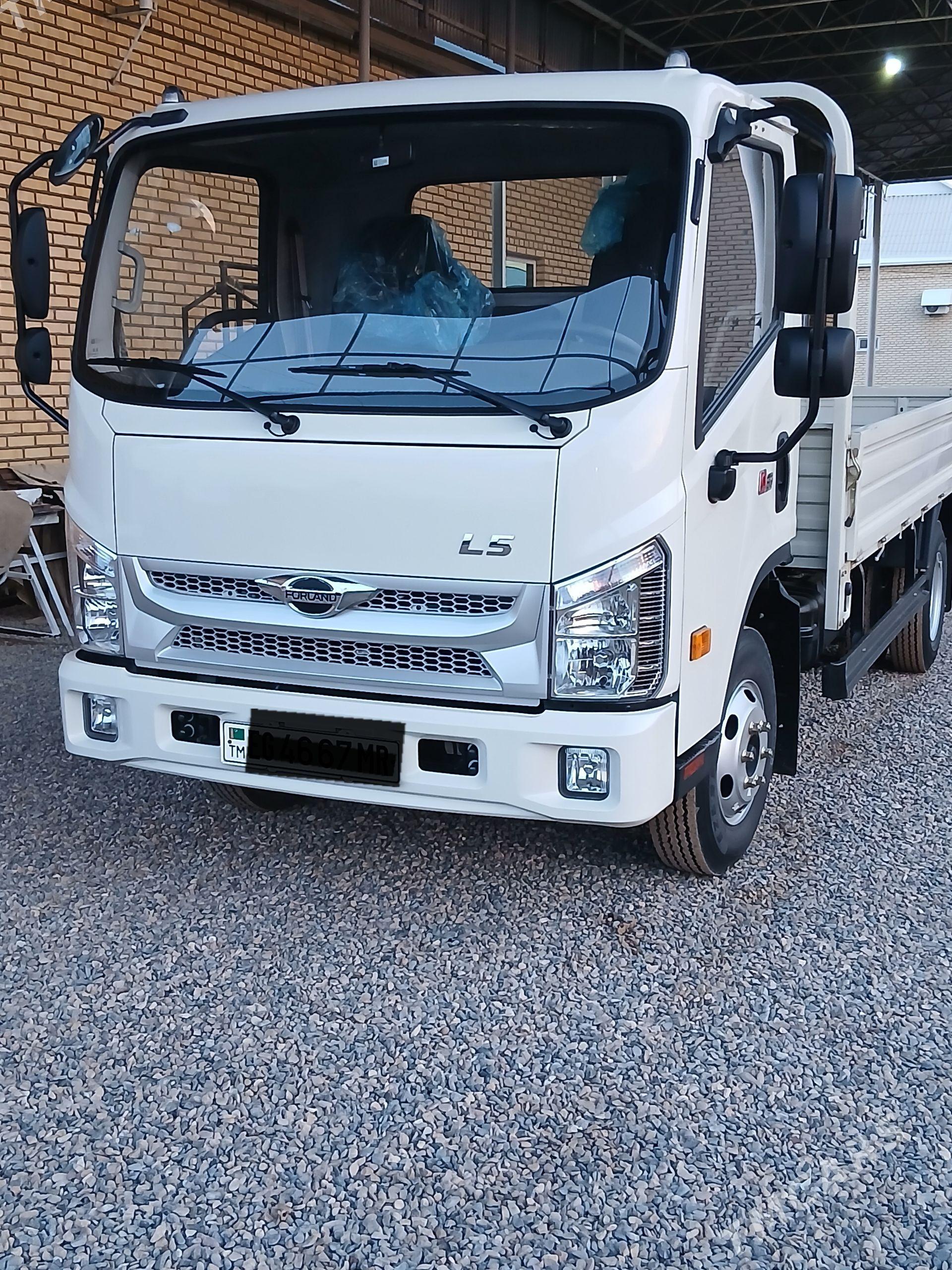 Forland H2 2025 - 310 000 TMT - Сакарчага - img 1