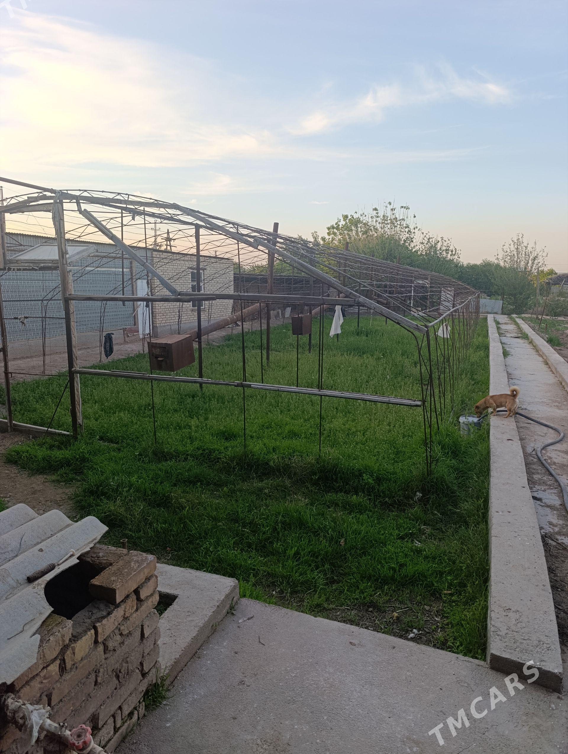 Teplisa 9 metr eni 30 metr uz - Туркменабат - img 1