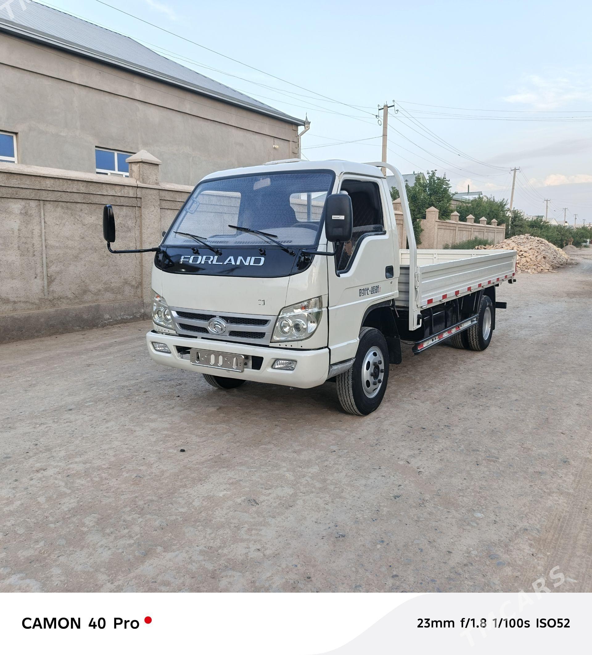Forland H3 2014 - 122 000 TMT - Mary - img 1