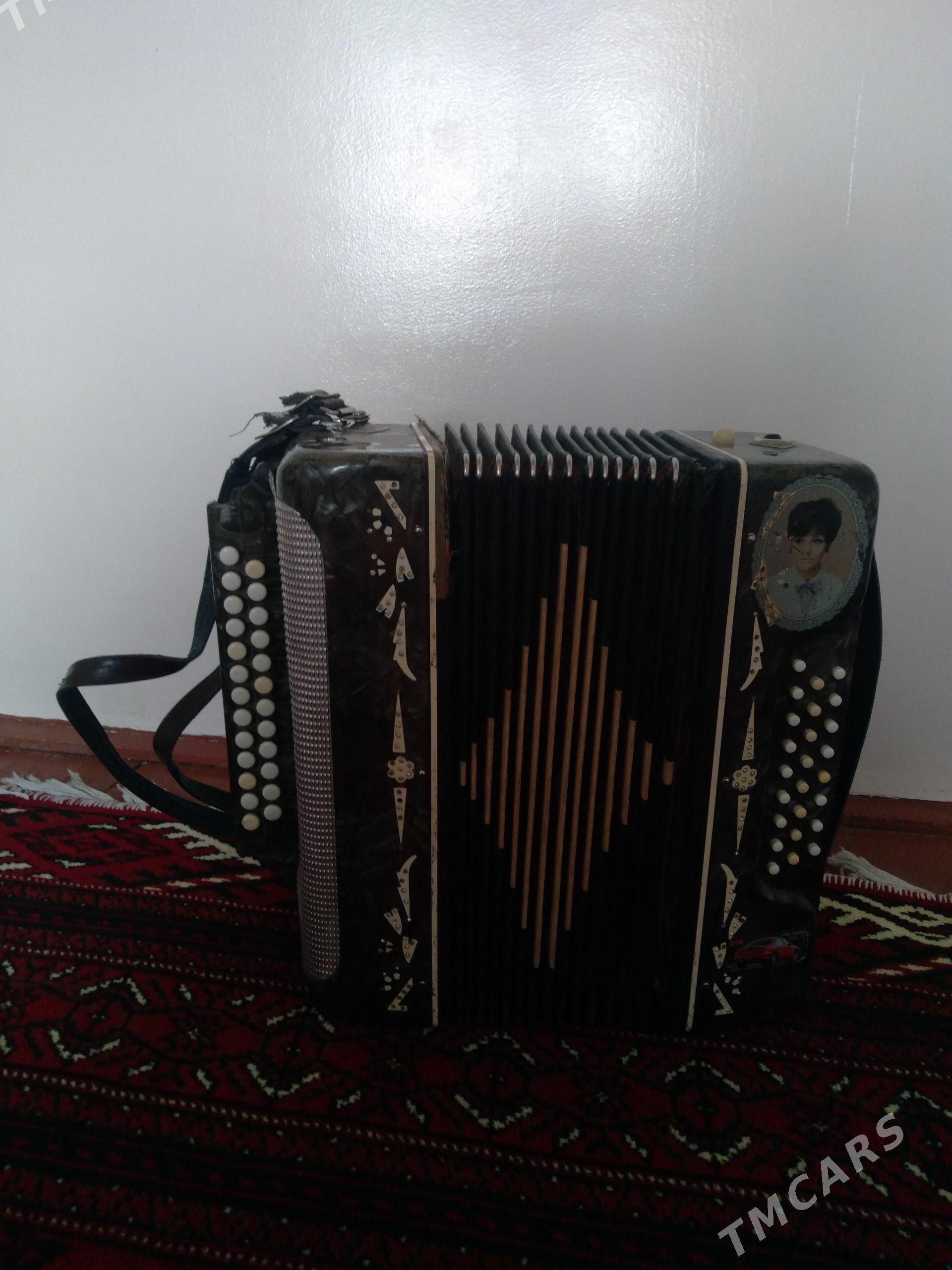 Baýan(Garmon)) - Murgap - img 1