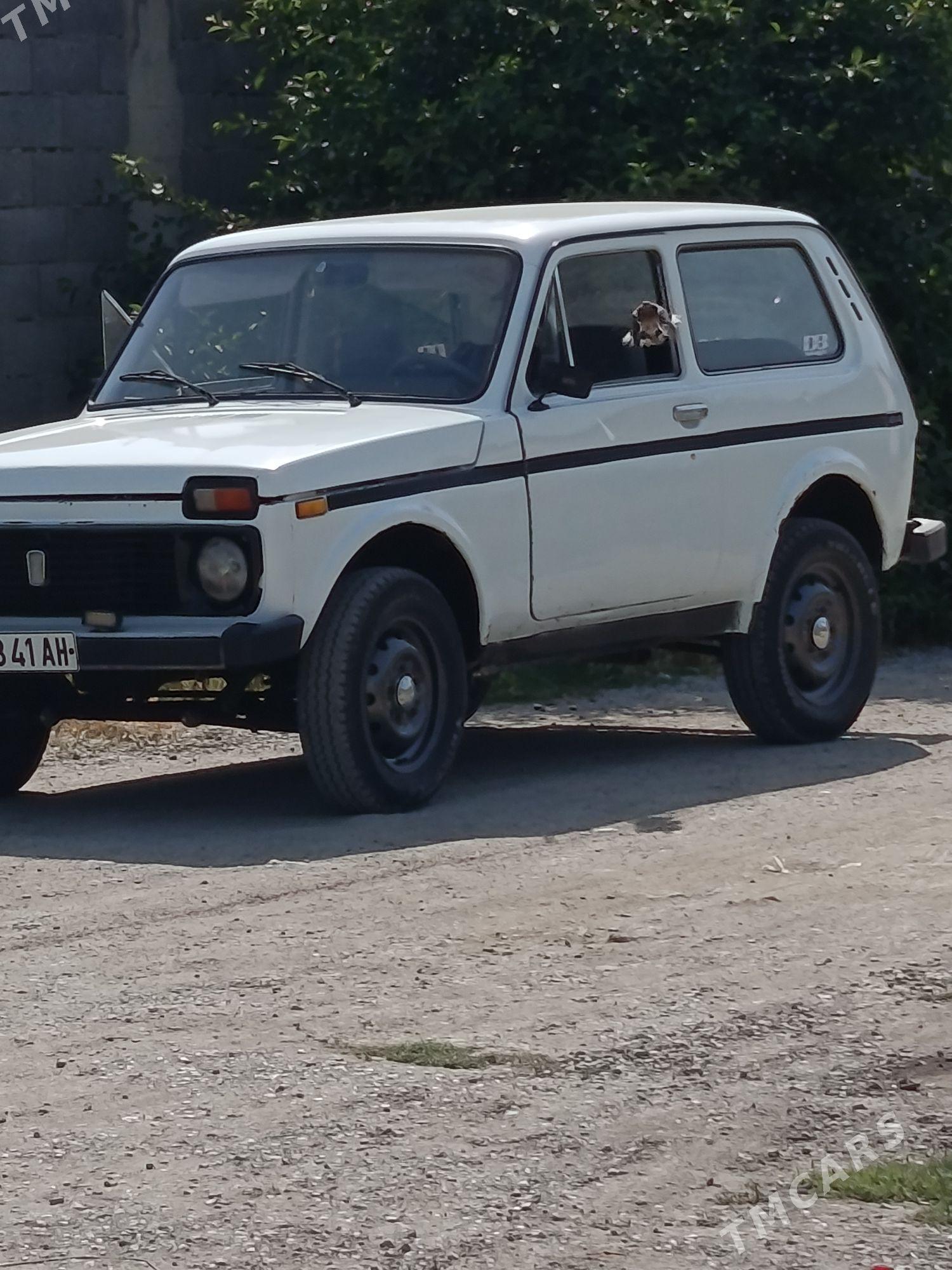 Lada Niva 1985 - 29 000 TMT - Bäherden - img 1