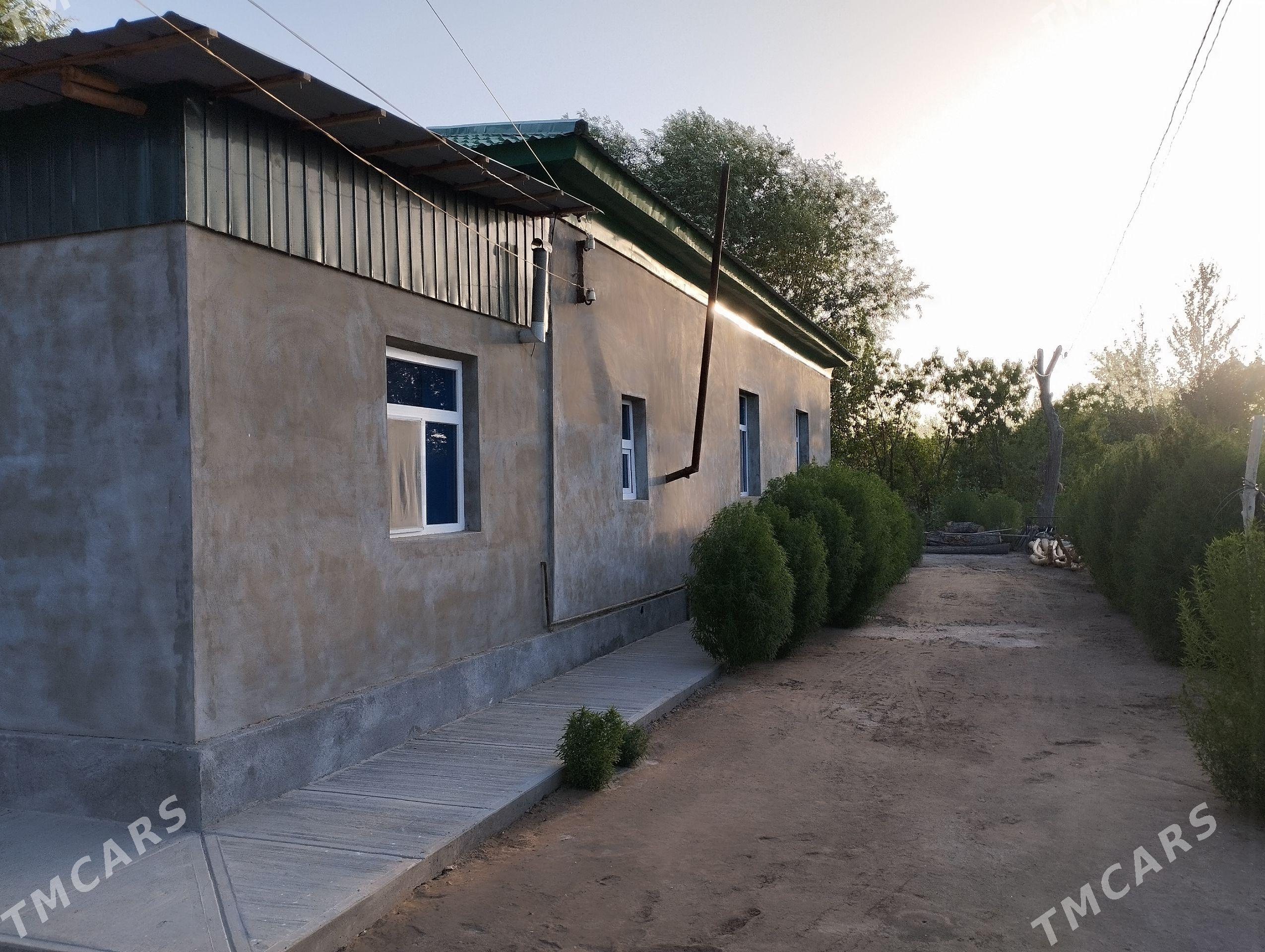 satlyk jay - Türkmenbaşy etr. - img 1