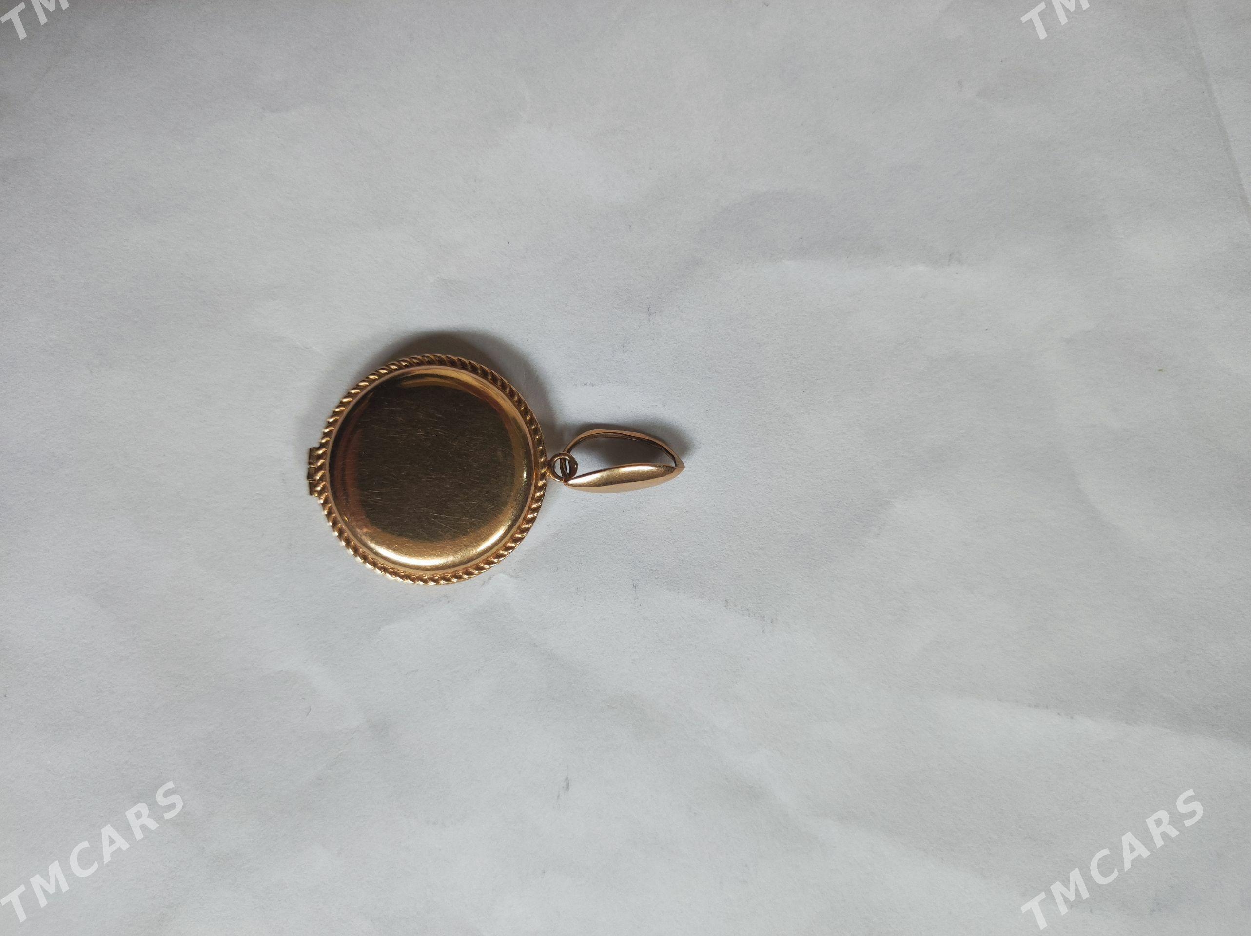 Gyzyl klon - Сакарчага - img 1