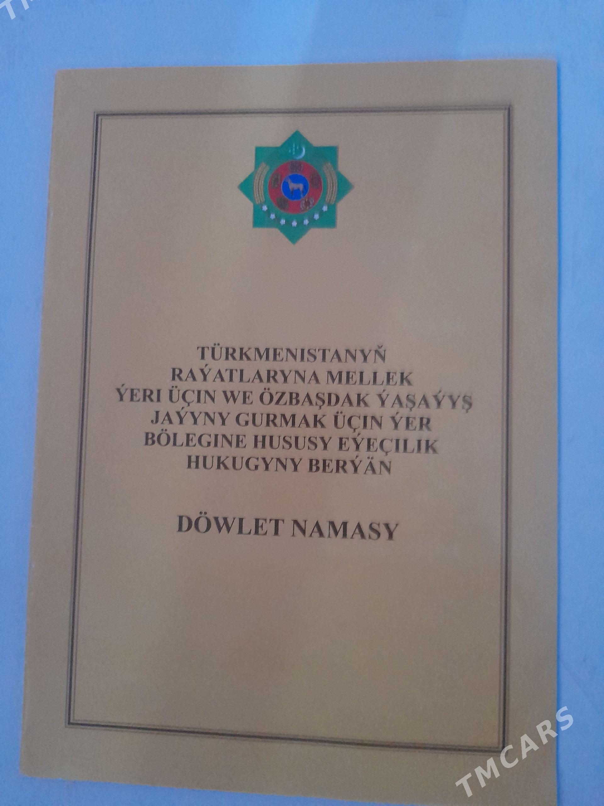 Mellek yer - Ak bugdaý etraby - img 1