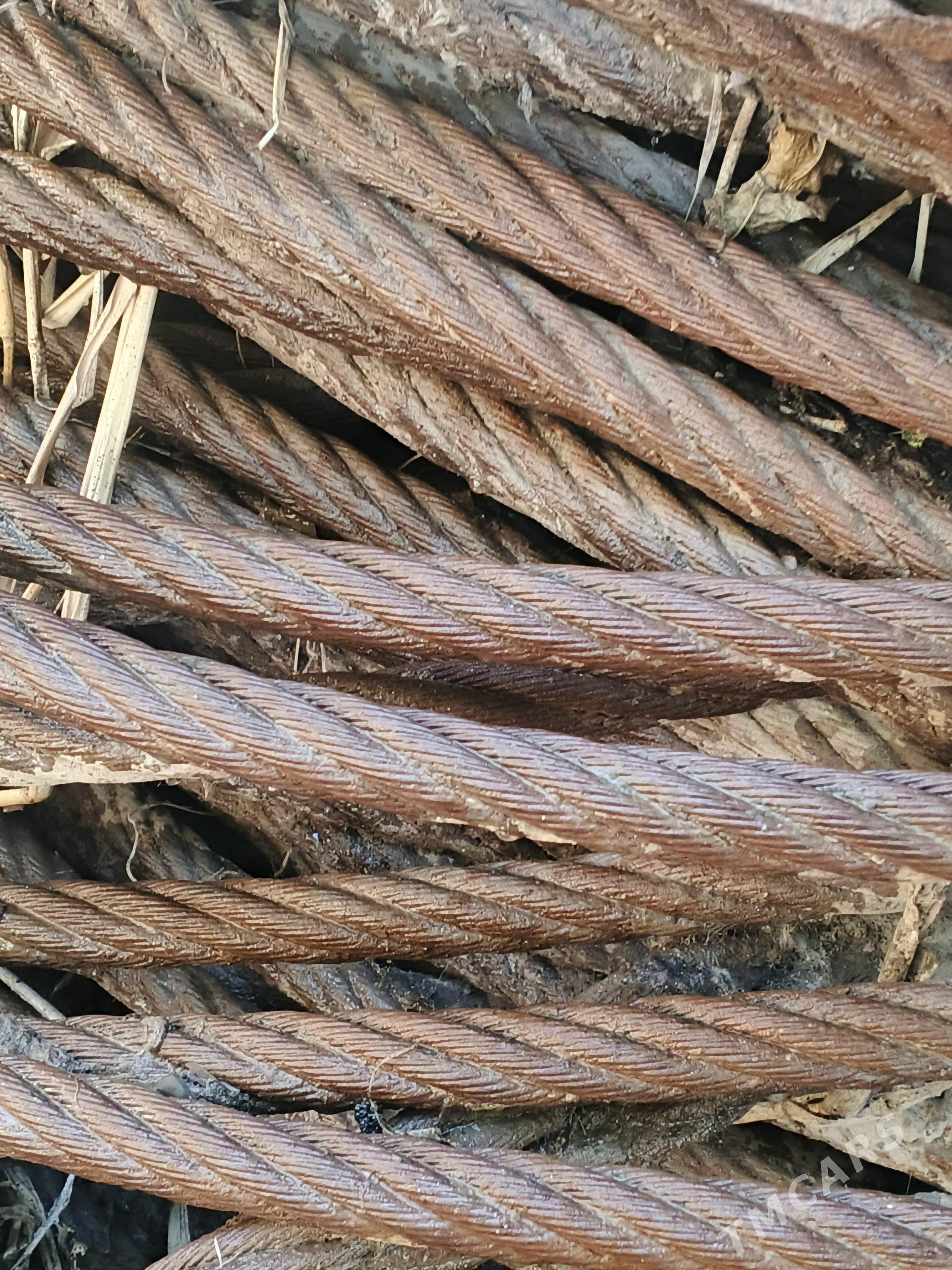 Tros - Daşoguz - img 1