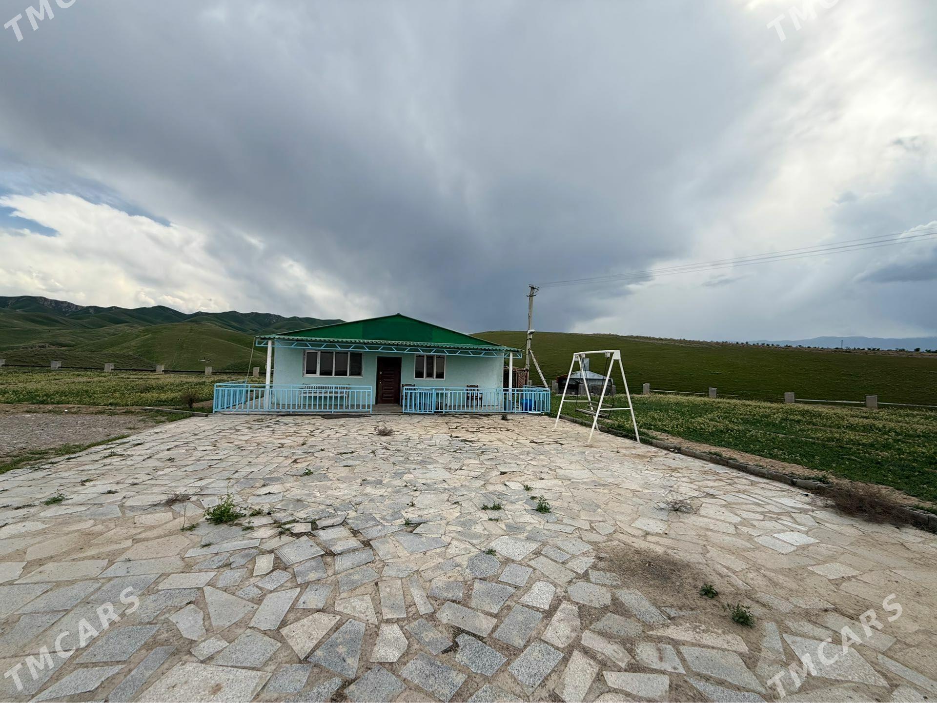 Anew Magtymguly Önumcilik yer - Ak bugdaý etraby - img 1