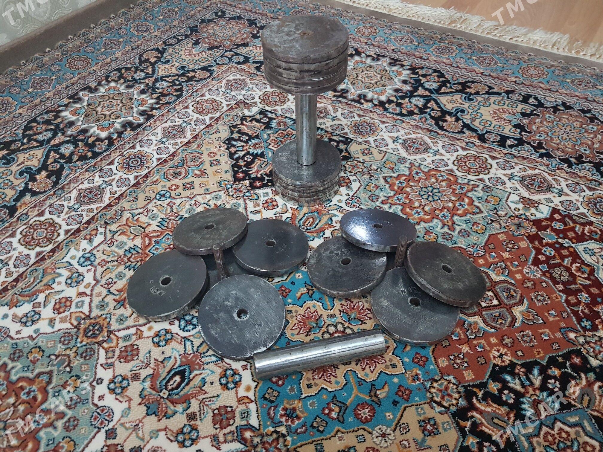 GANTEL 11KG Гантел - Туркменбаши - img 1