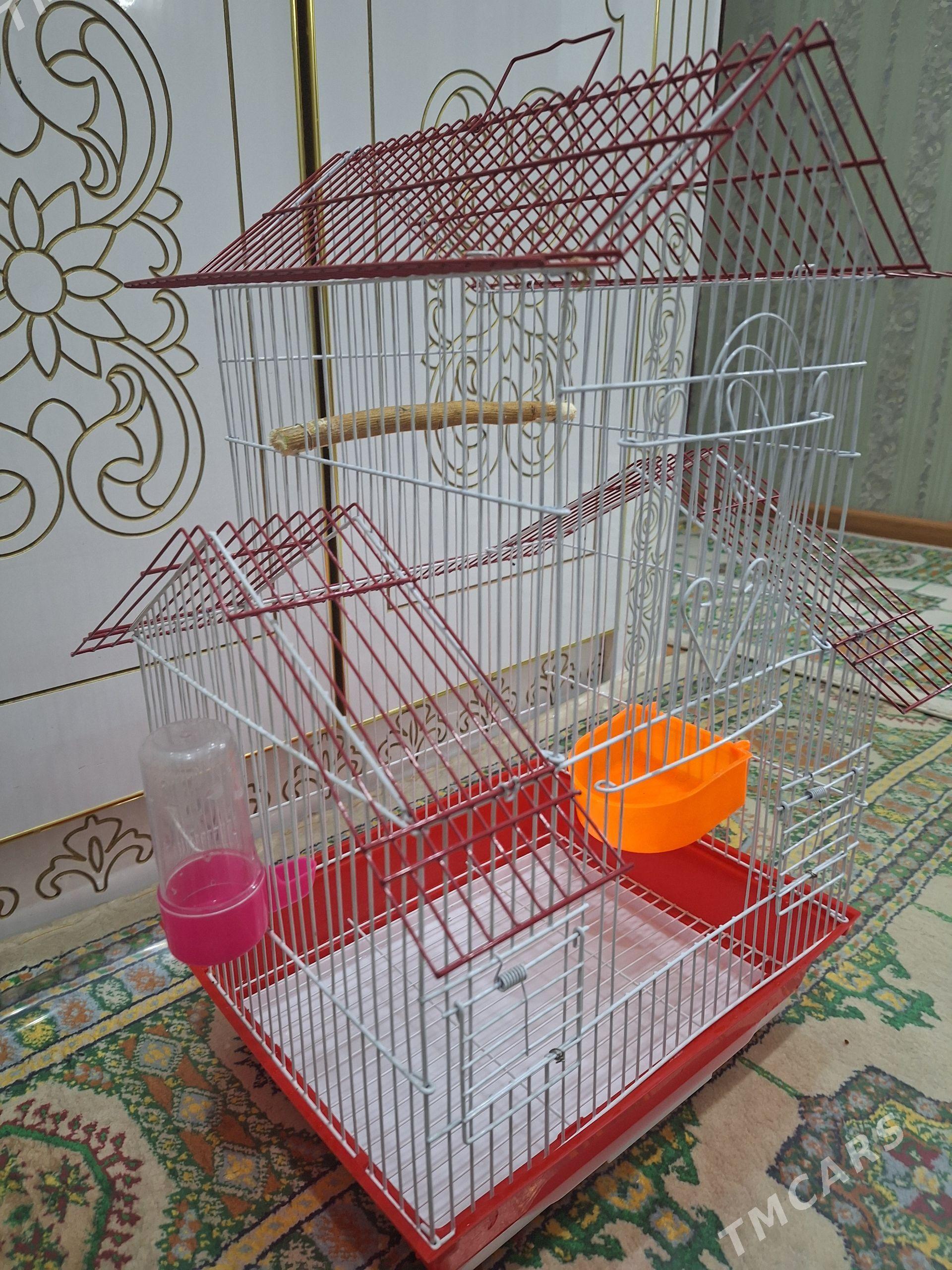 guş ucin klatka - Мир 2 - img 1