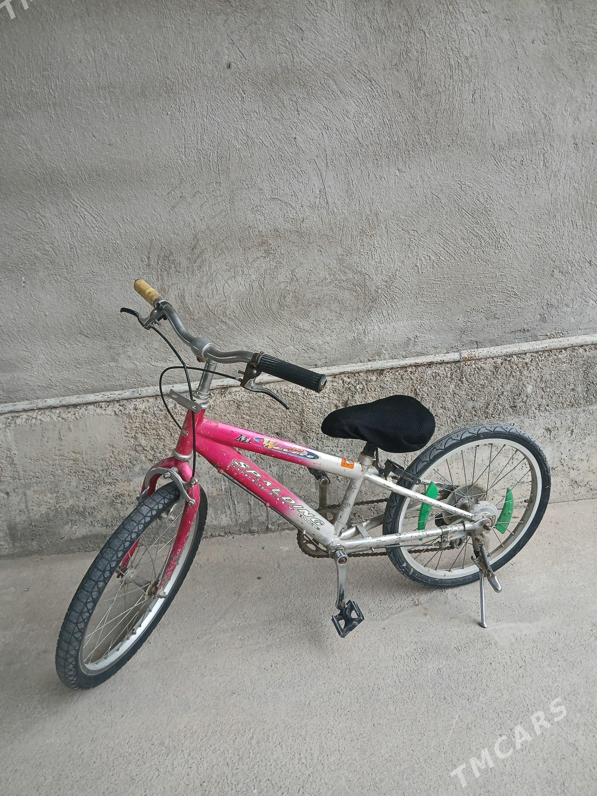 Tigir - Büzmeýin - img 1