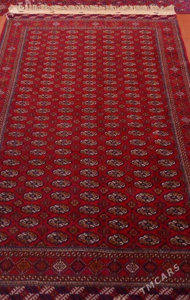Ahal Halysy - Görogly (Tagta) - img 1