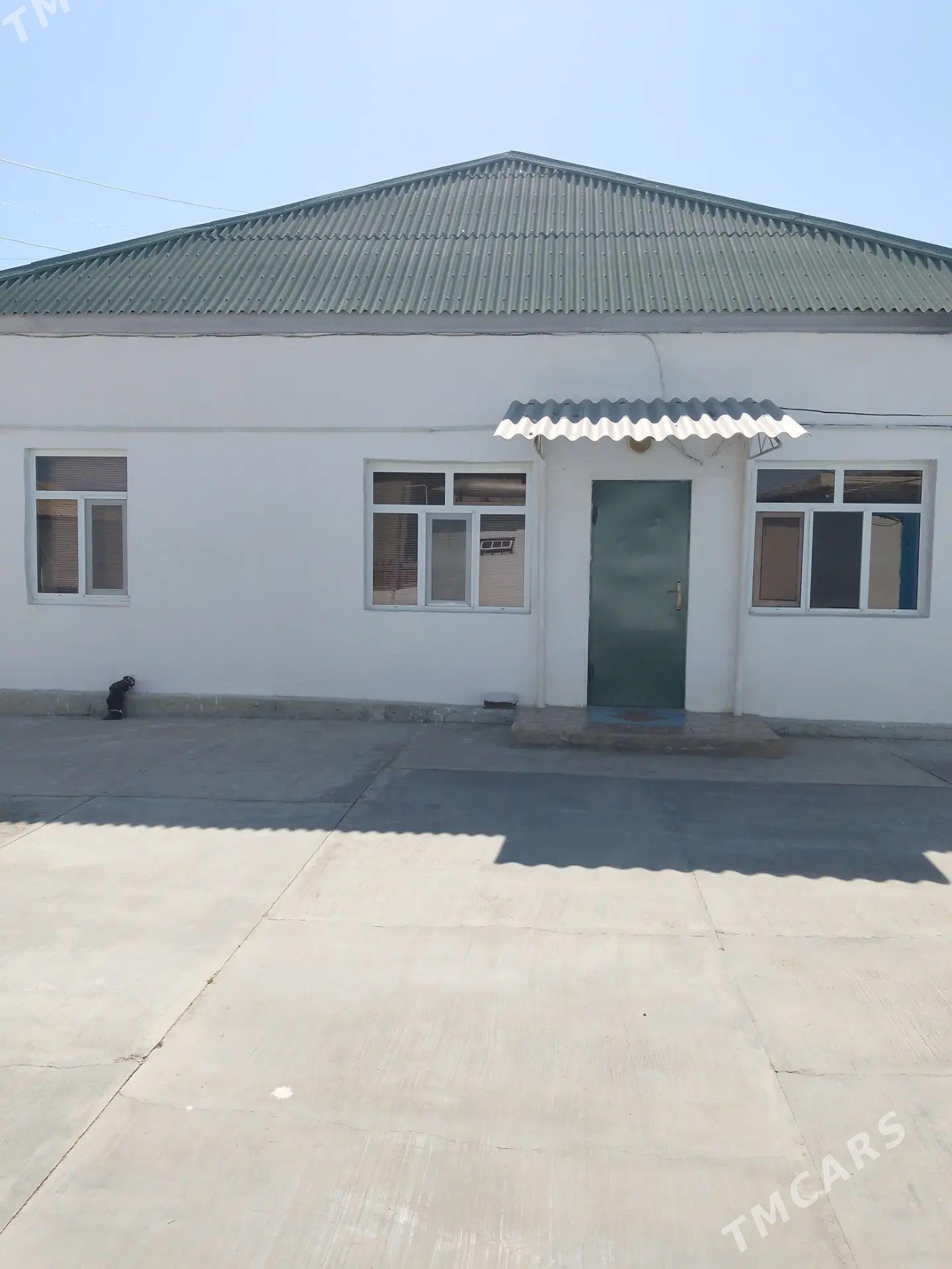Jay - Balkanabat - img 1