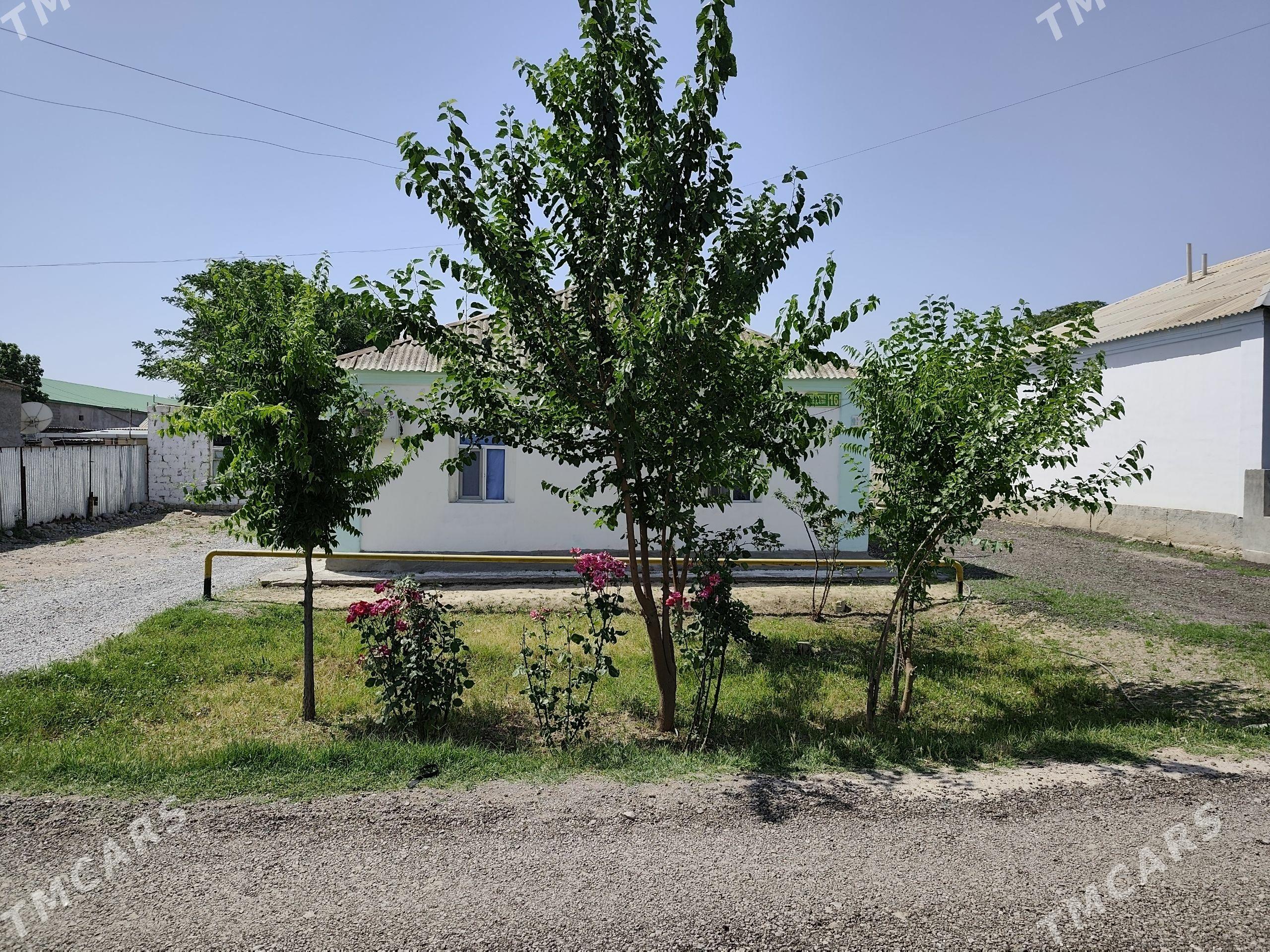 Kone Gami 12 sotok - Анев - img 1
