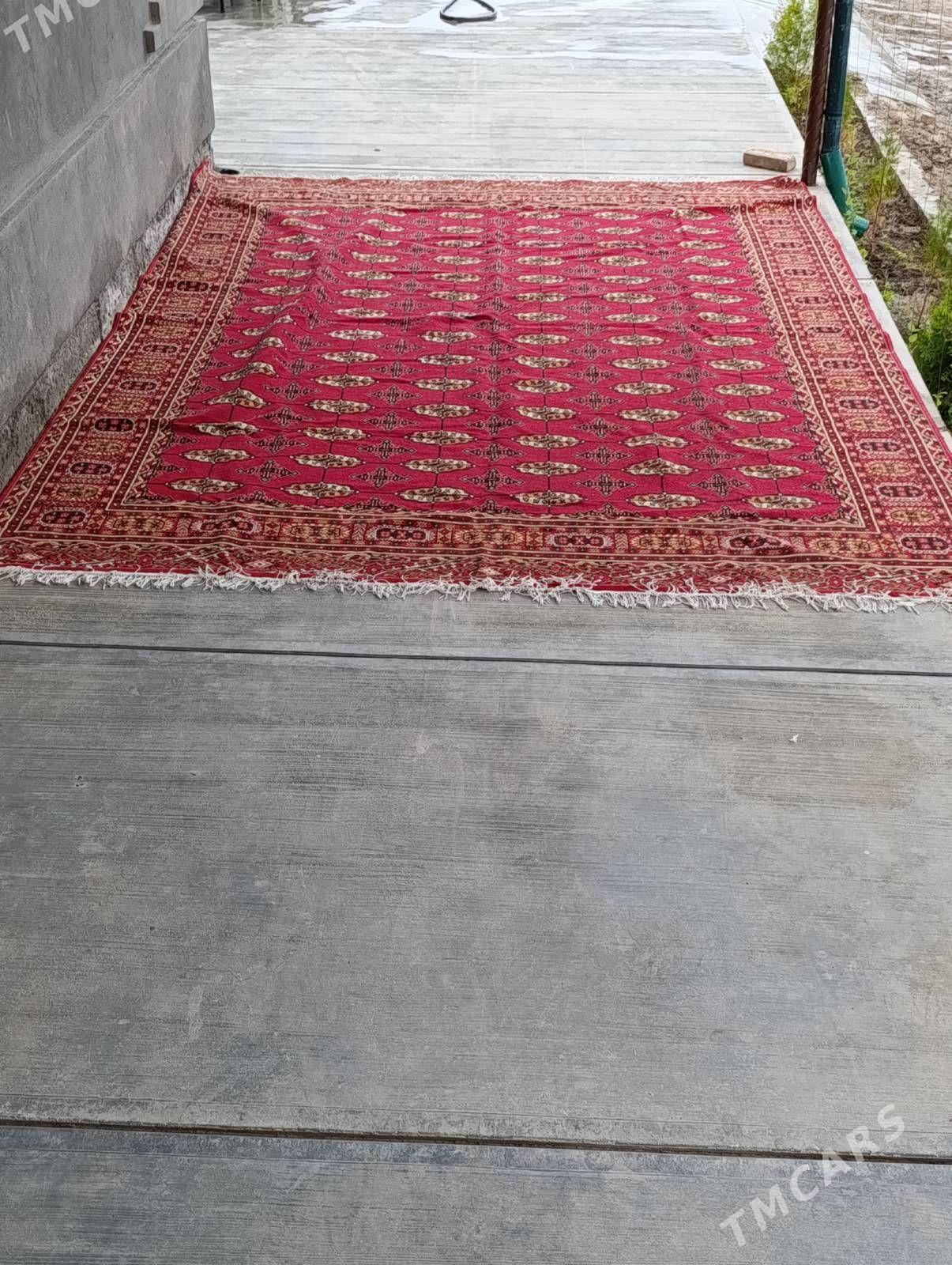 haly - Şabat etr. - img 1