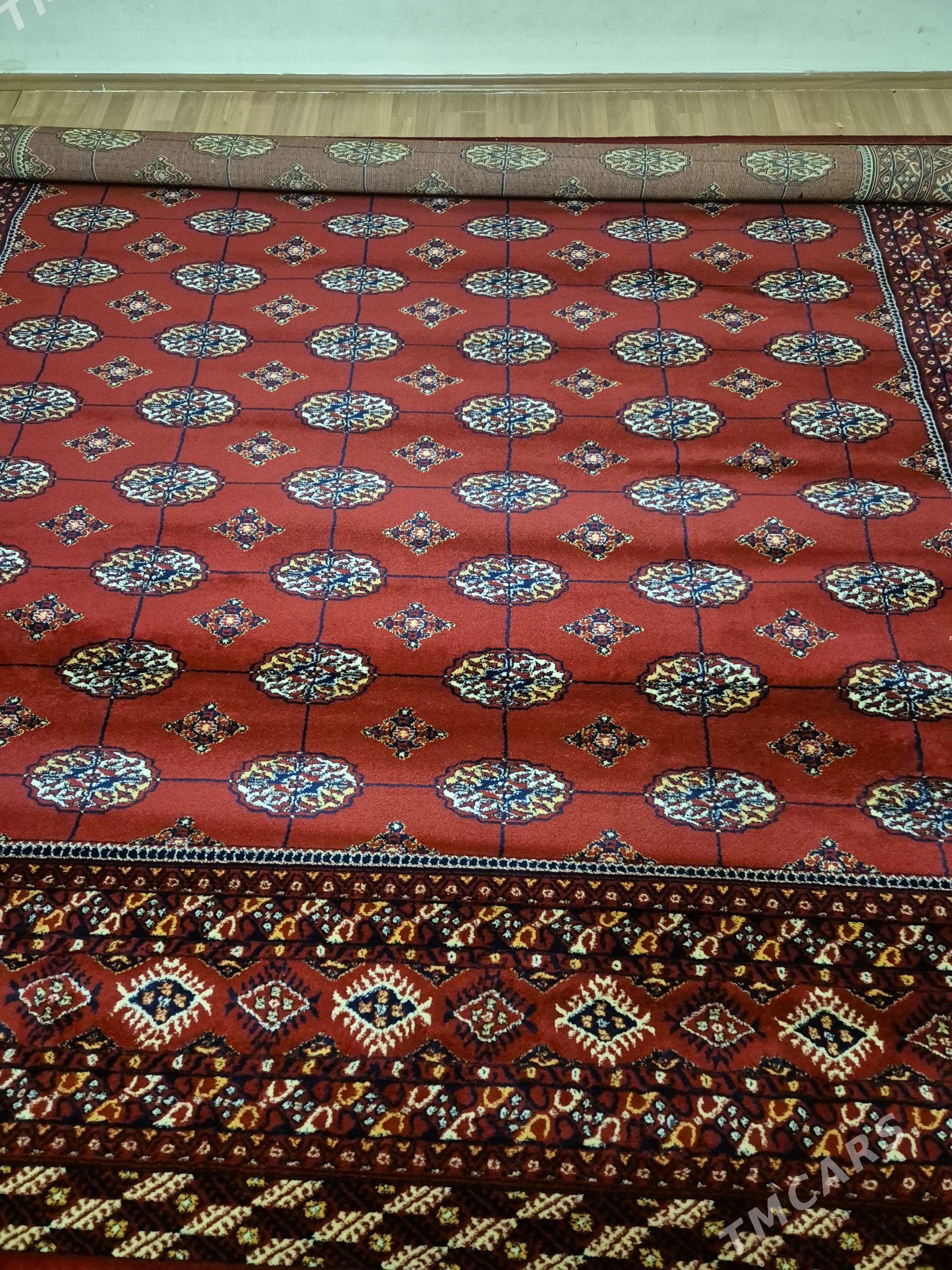 haly - Aşgabat - img 1