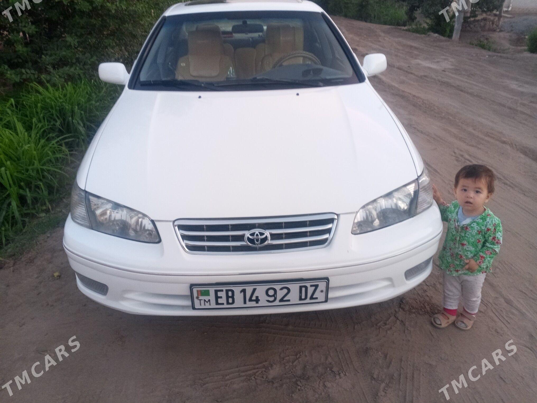 Toyota Camry 2001 - 170 000 TMT - Шабатский этрап - img 1