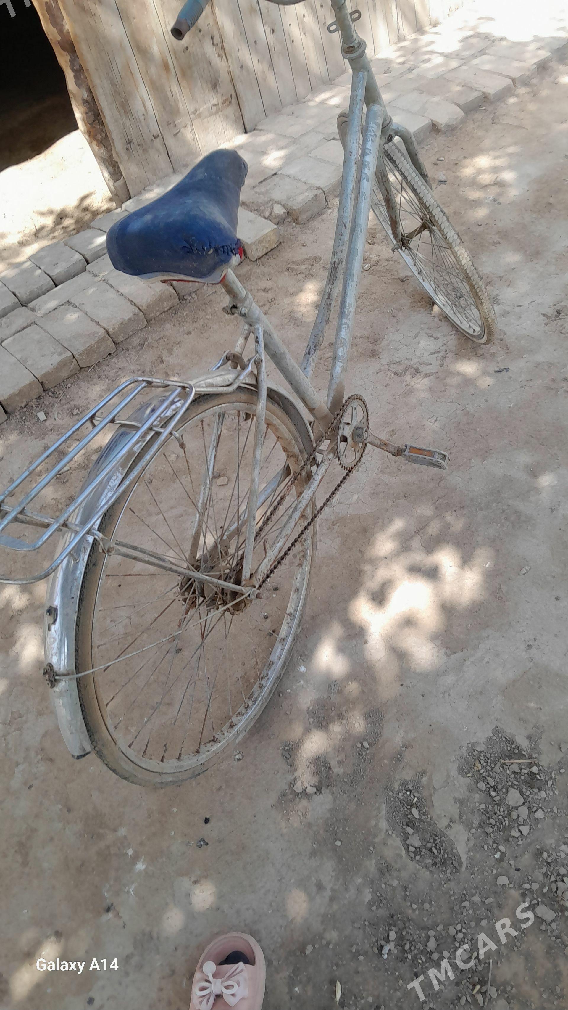 heleyrama - Murgap - img 1