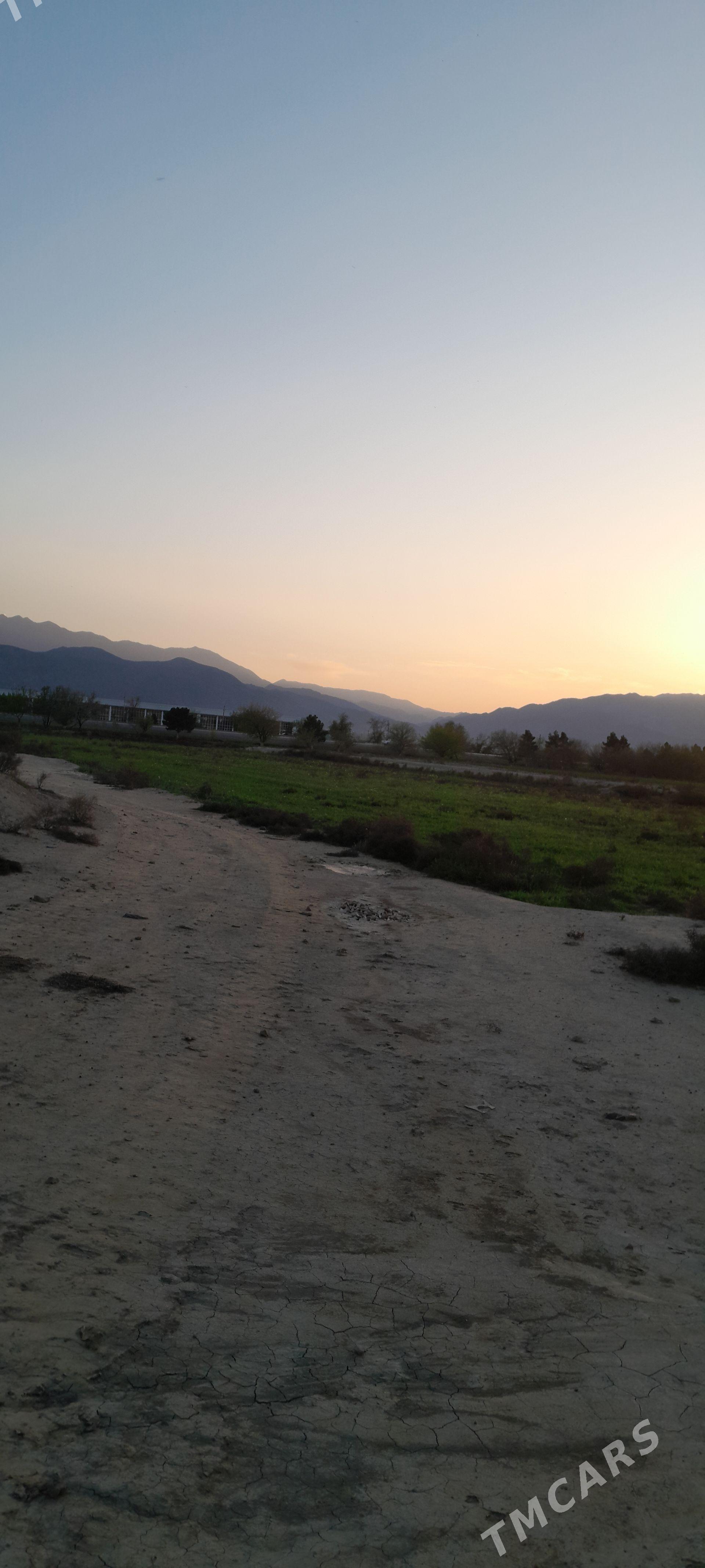 SATLYK MULK YERY 20-GEKTAR - Aşgabat - img 1