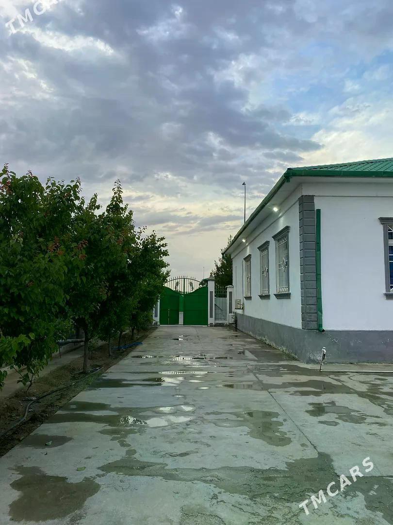 taze zaman 2 tapgyr 5kom - Тязе заман - img 1