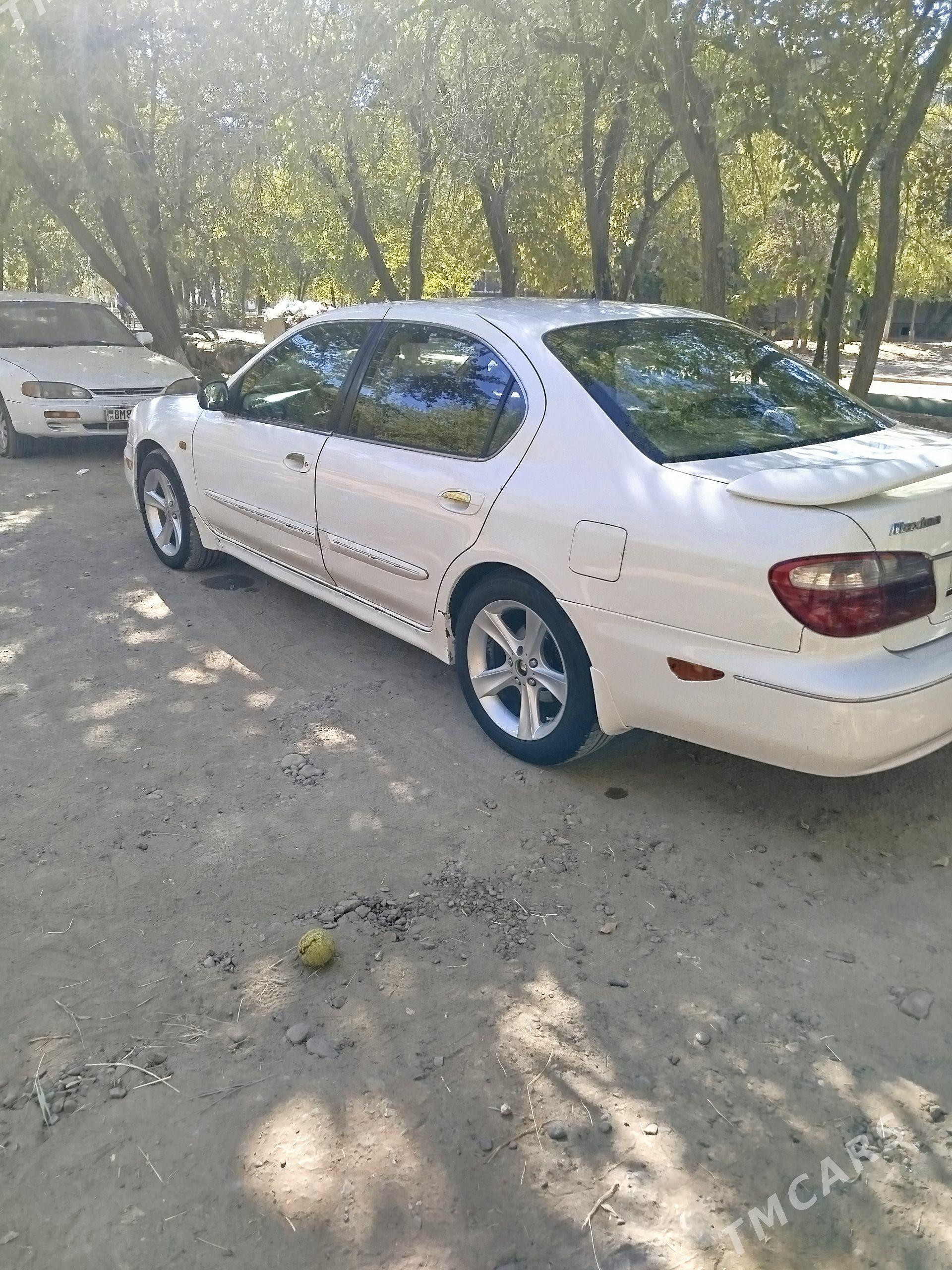 Nissan Maxima 2002 - 85 000 TMT - Mary - img 1