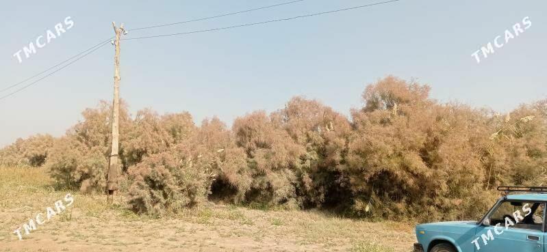 satlyk boş mellek ýer 12 sotka - Байрамали - img 1
