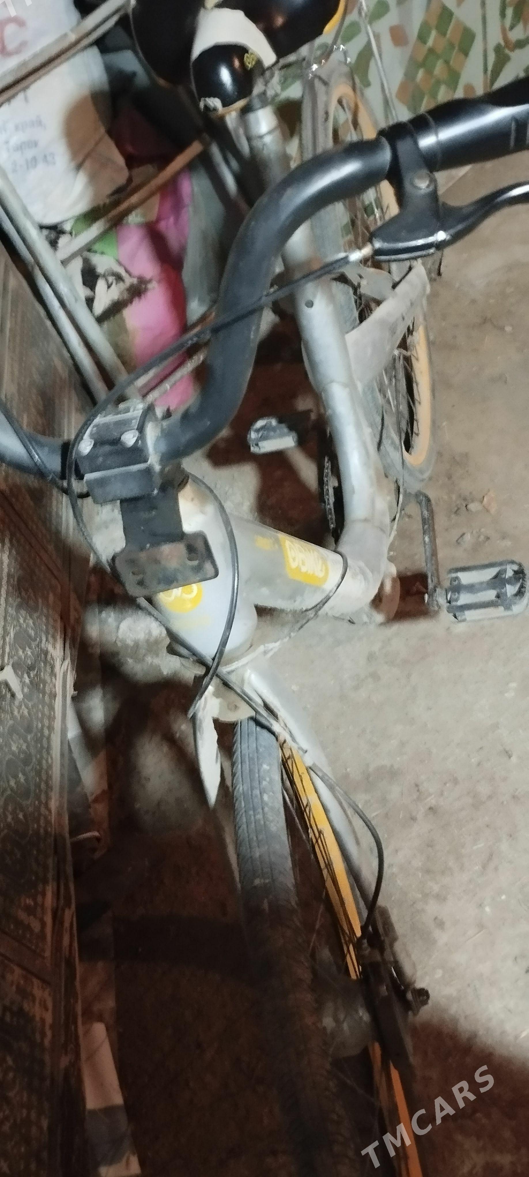 Obike Welosiped - Daşoguz - img 1