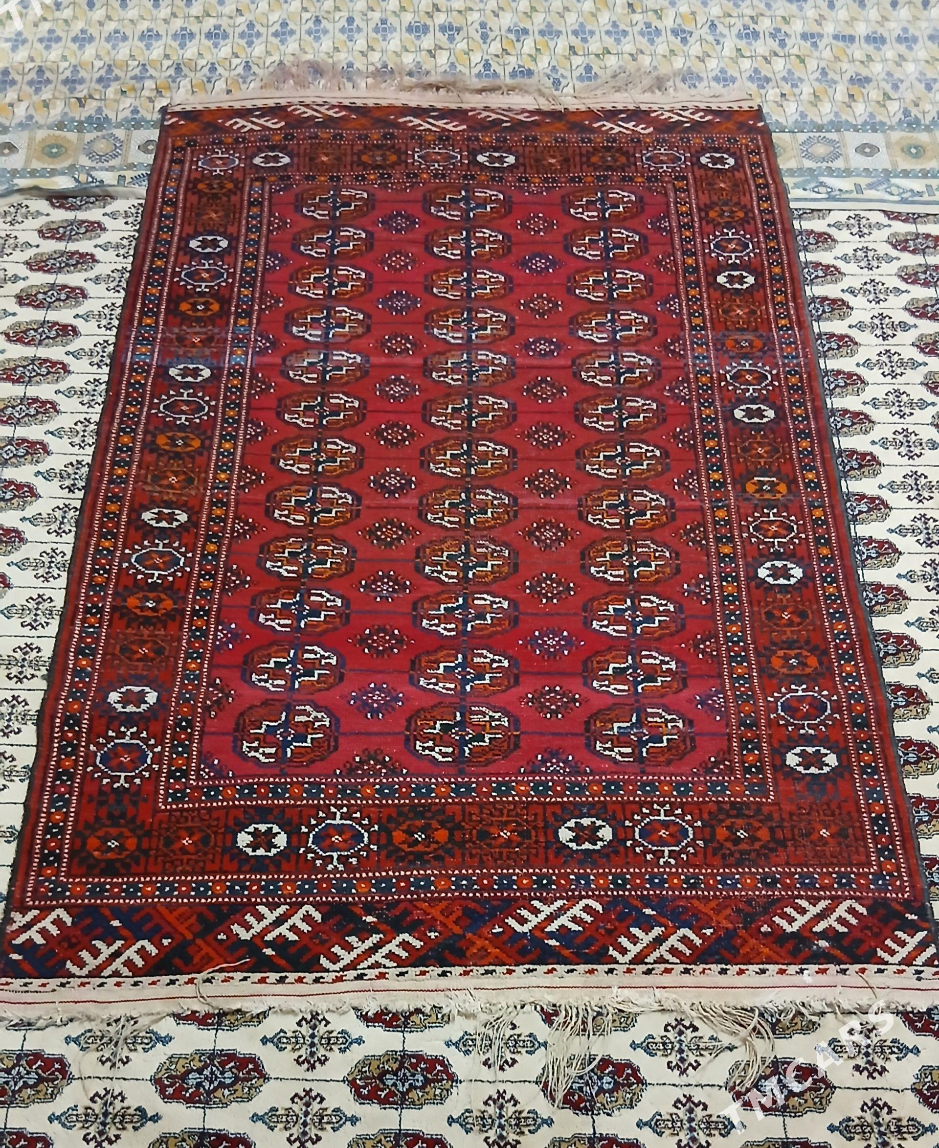 Haly - Büzmeýin - img 1