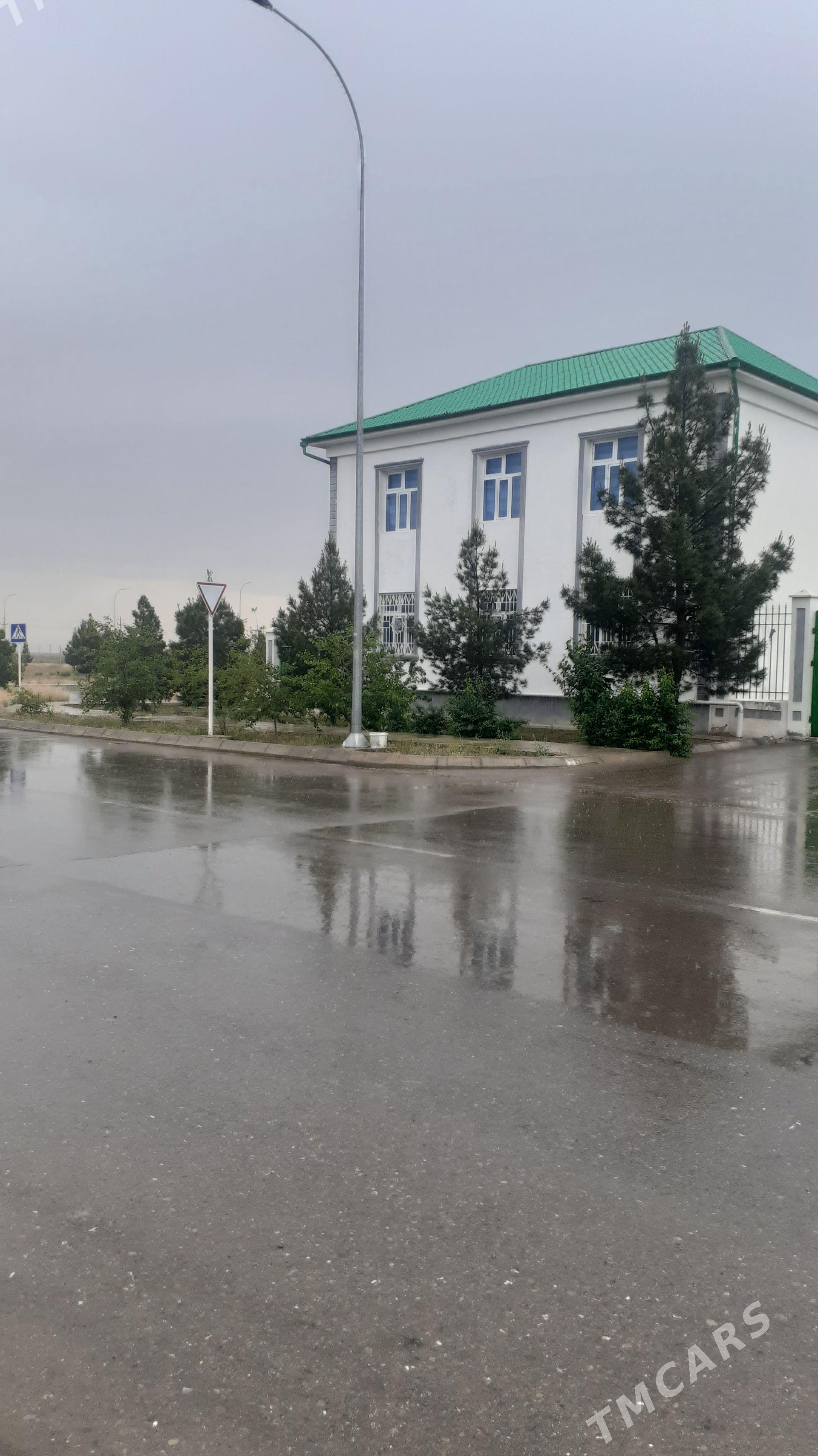 Taze zaman - Täze zaman - img 1