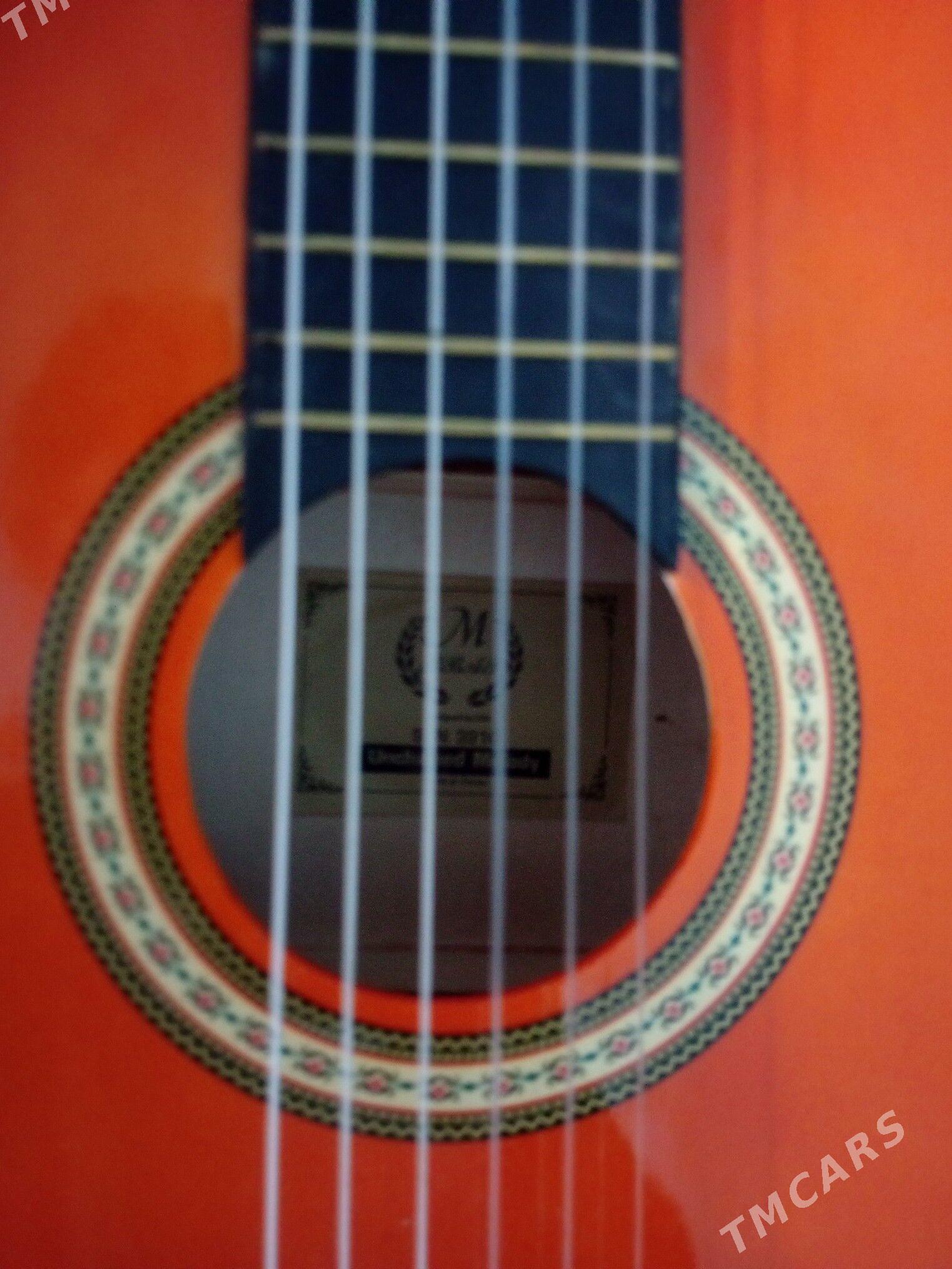 Gitara - Türkmenabat - img 1