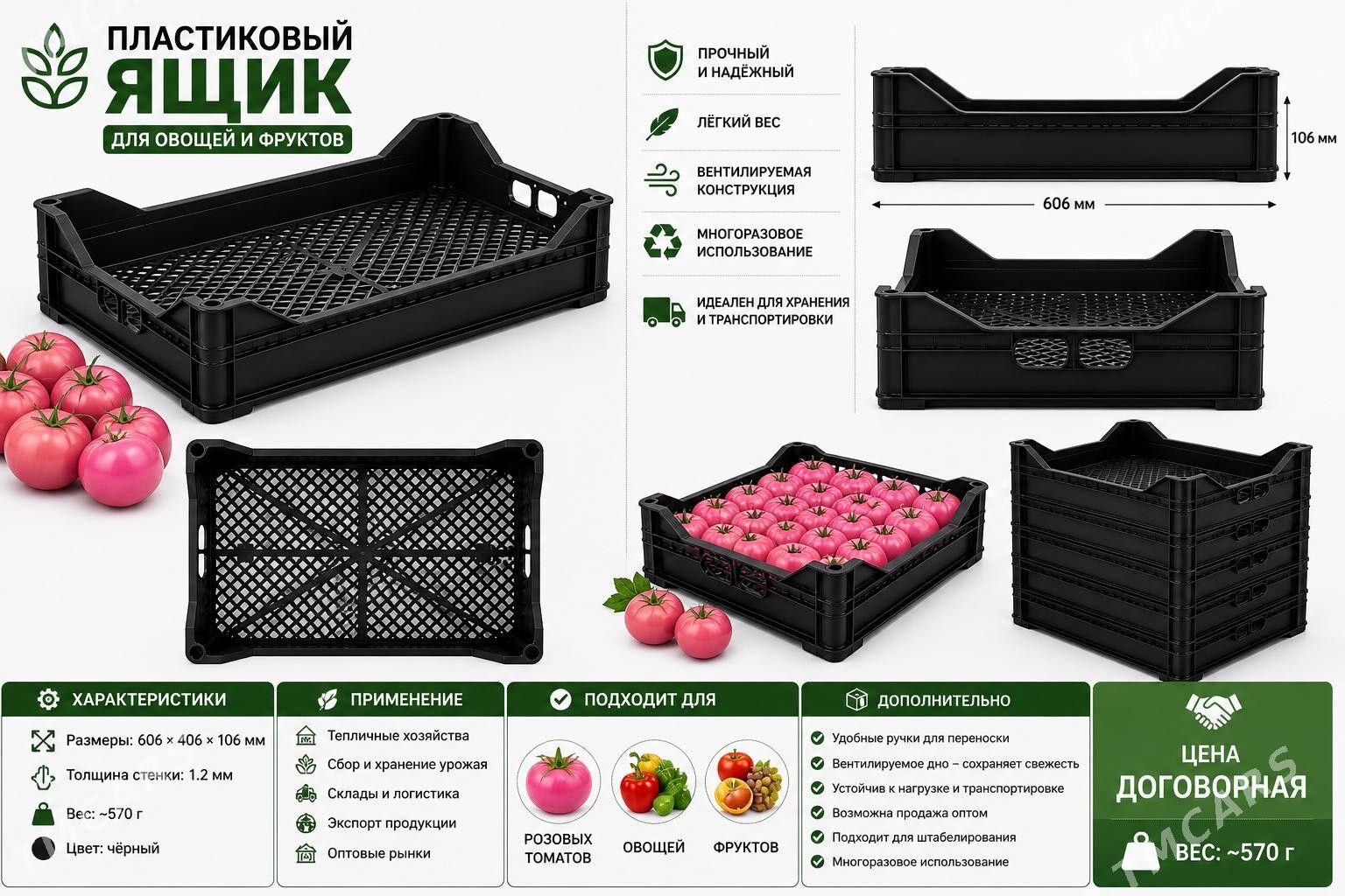 ýaşşik - Ашхабад - img 1