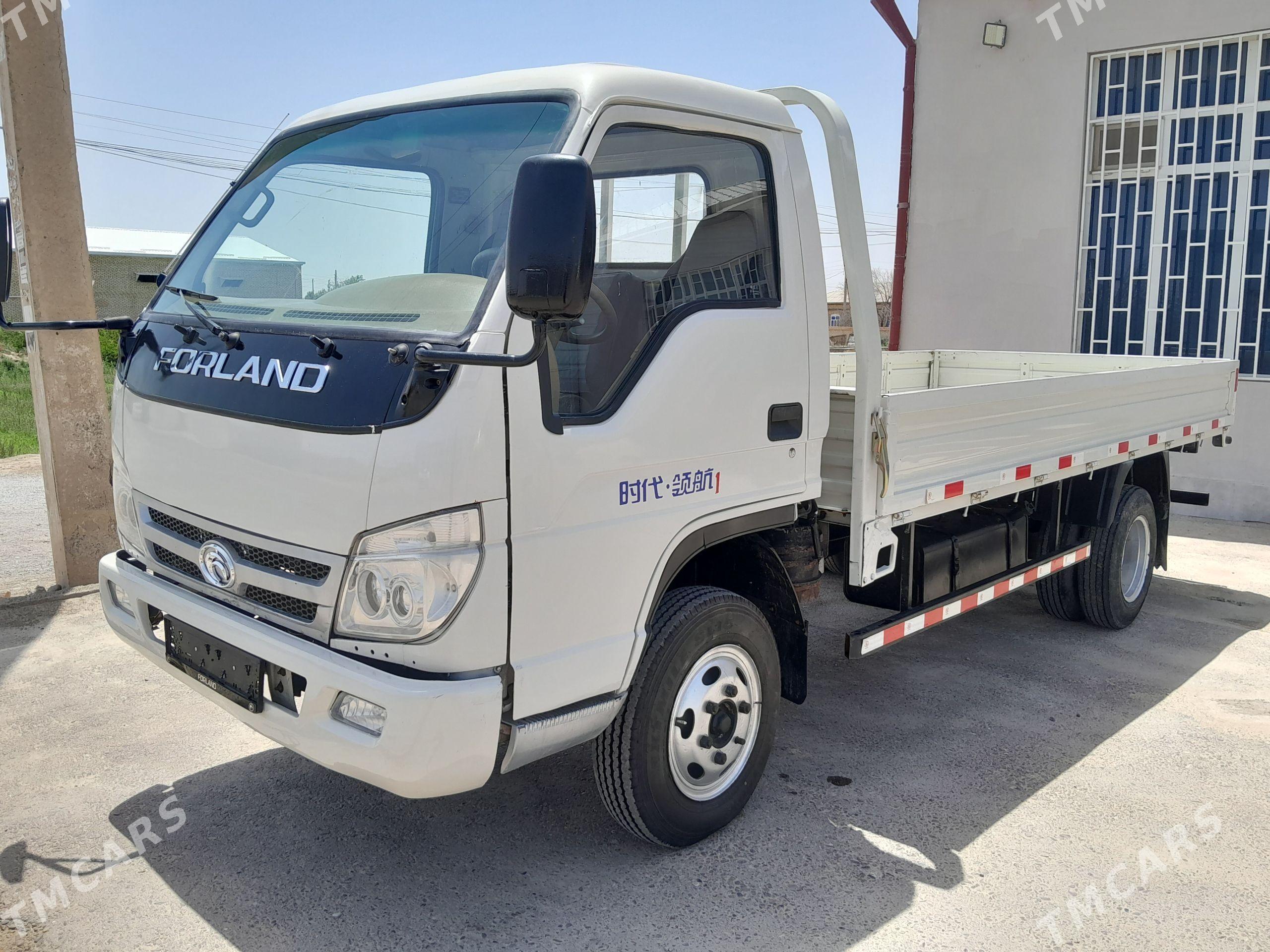 Forland H3 2014 - 125 000 TMT - Mary - img 1