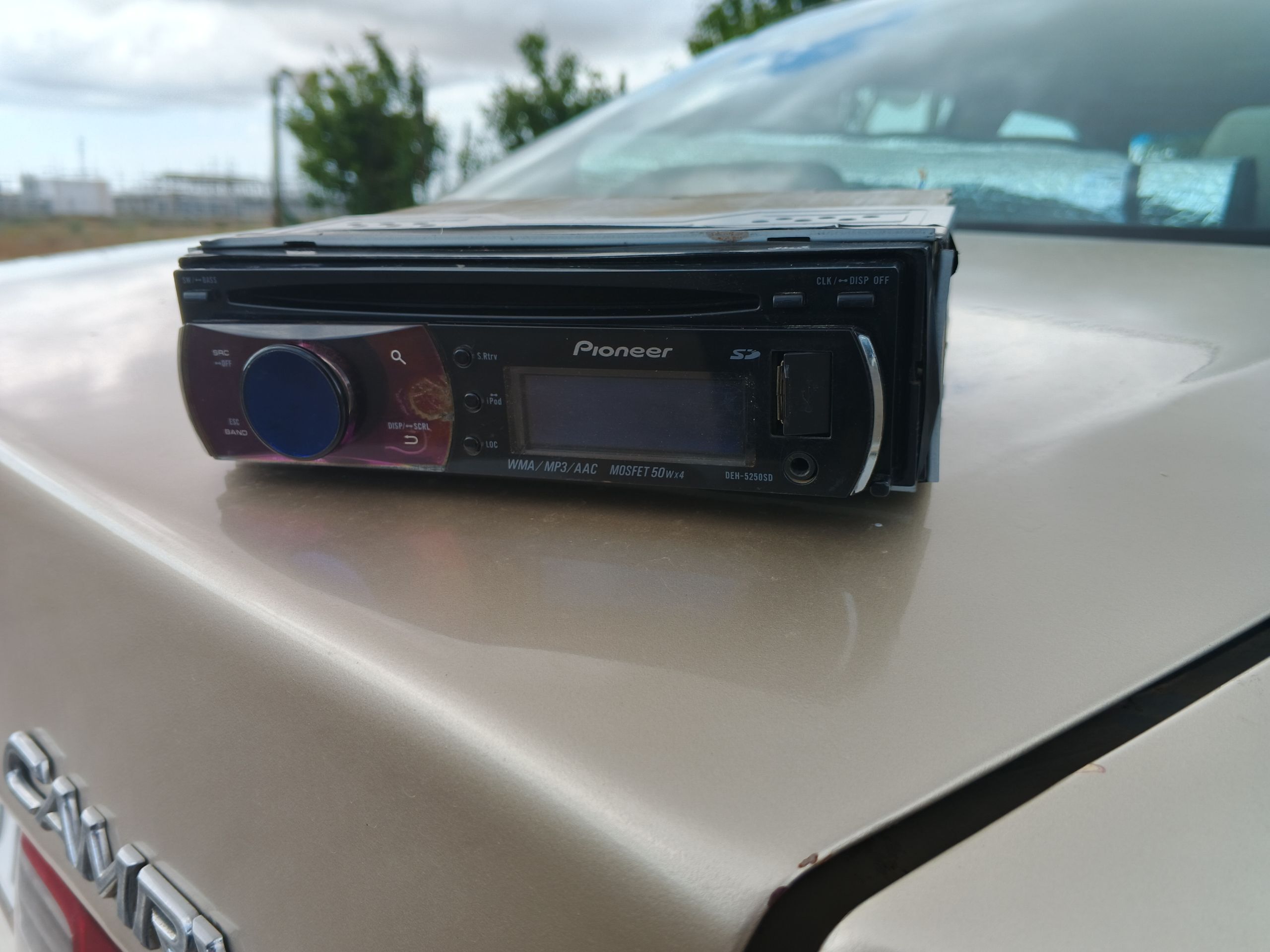 Pioneer dilfin 52.50 900 TMT - Туркменбаши - img 1