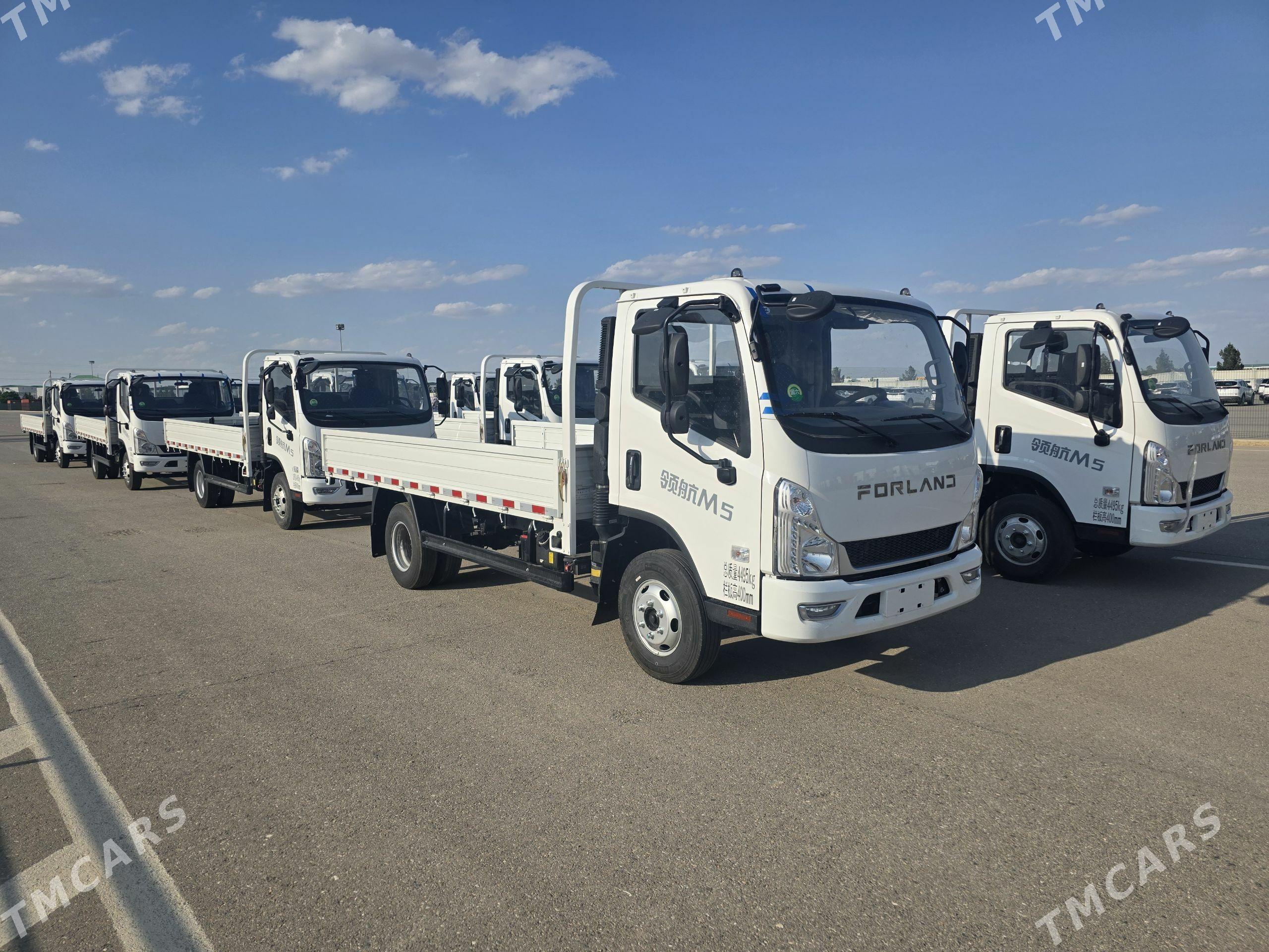 Forland H2 2026 - 301 000 TMT - Ak bugdaý etraby - img 1