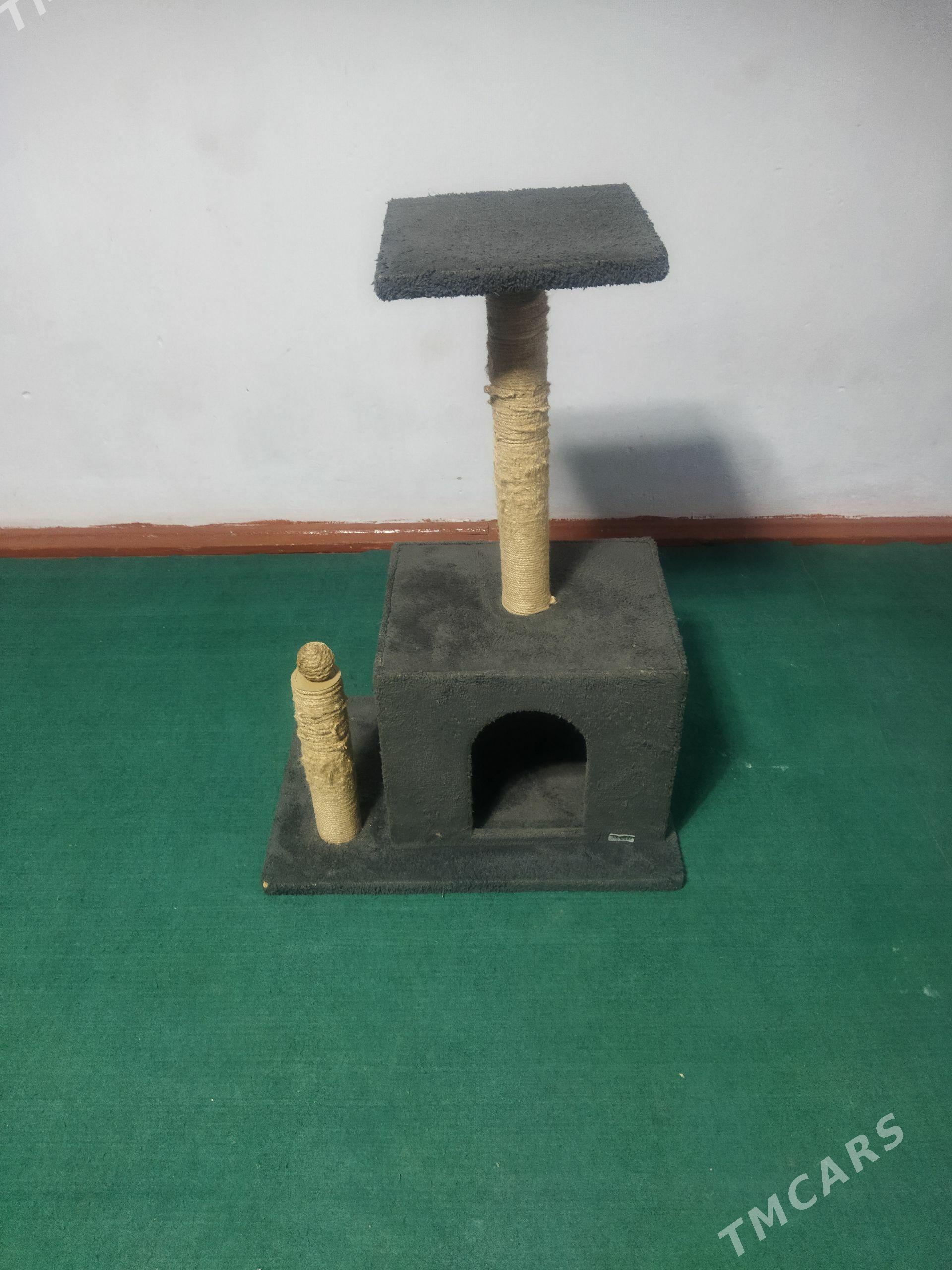 Кошкин домик - Çärjew - img 1