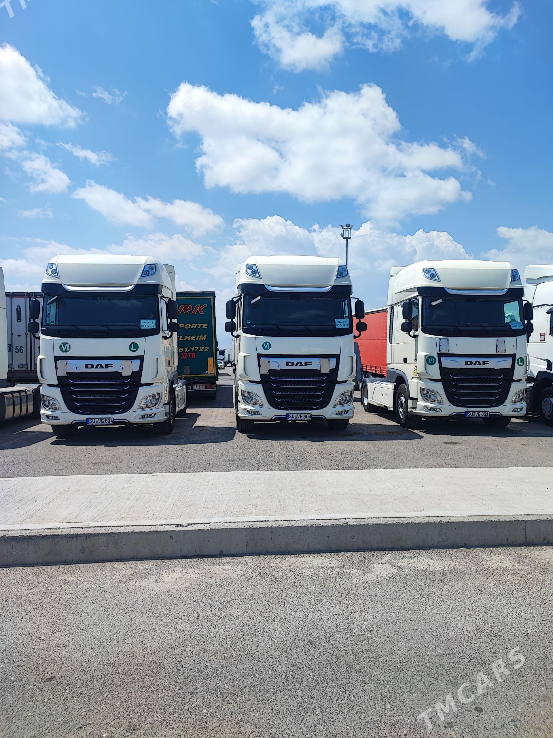 DAF 480 2022 - 840 000 TMT - ул. Подвойского (Битарап Туркменистан шаёлы) - img 1