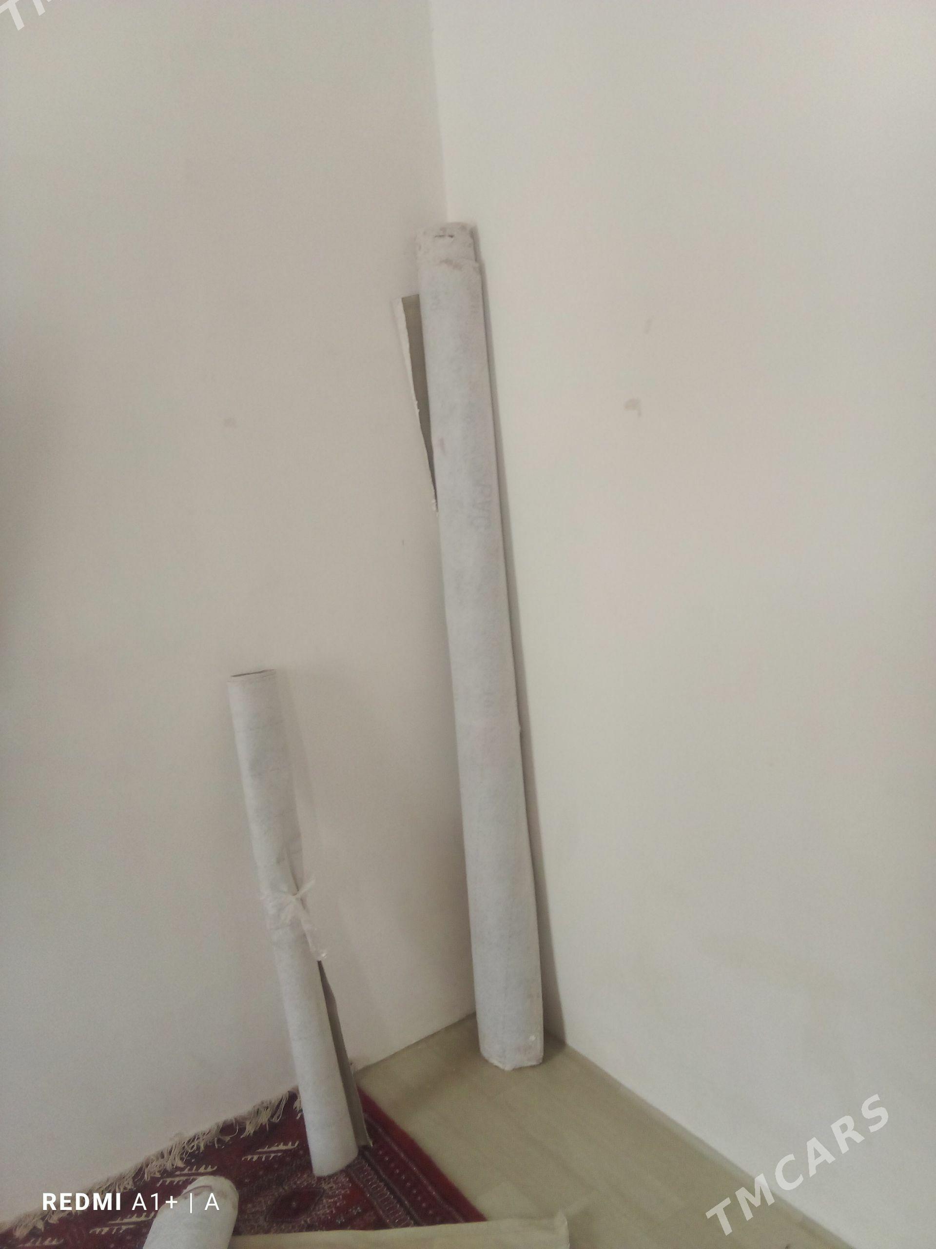Dinonym - Türkmenbaşy - img 1