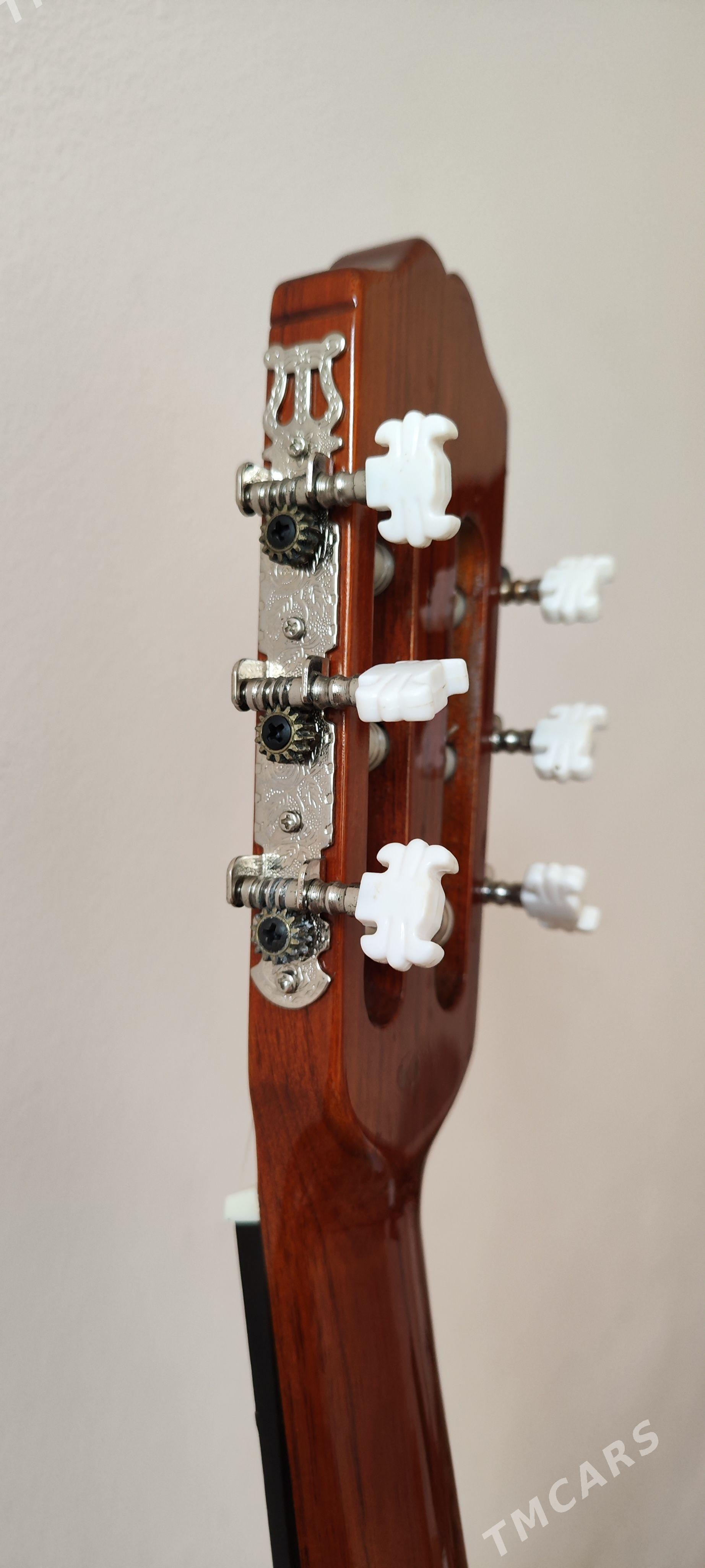 Gitara - Daşoguz - img 1
