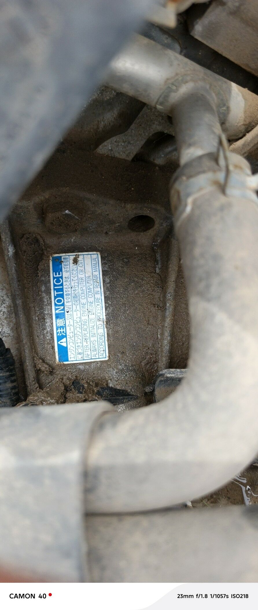 Corolla karopka 6 000 TMT - Мары - img 1