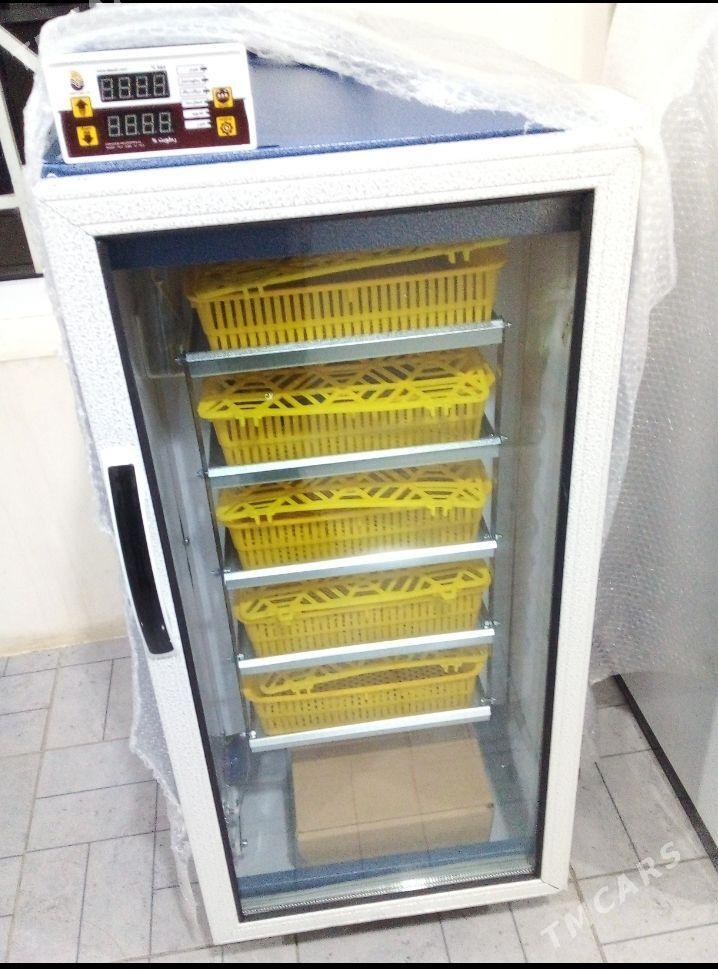 Inkubator - Büzmeýin - img 1