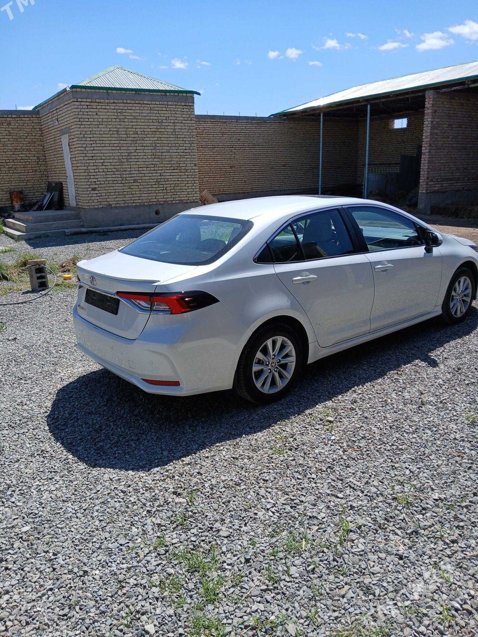 Toyota Corolla 2023 - 360 000 TMT - Бахарден - img 1