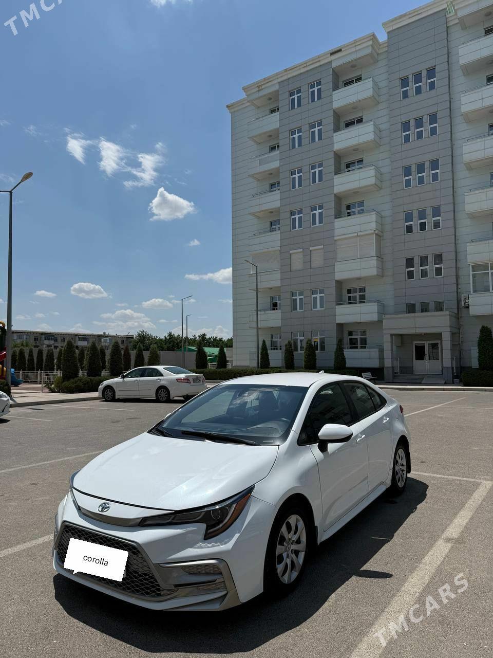 Toyota Corolla 2024 - 249 000 TMT - Mary - img 1
