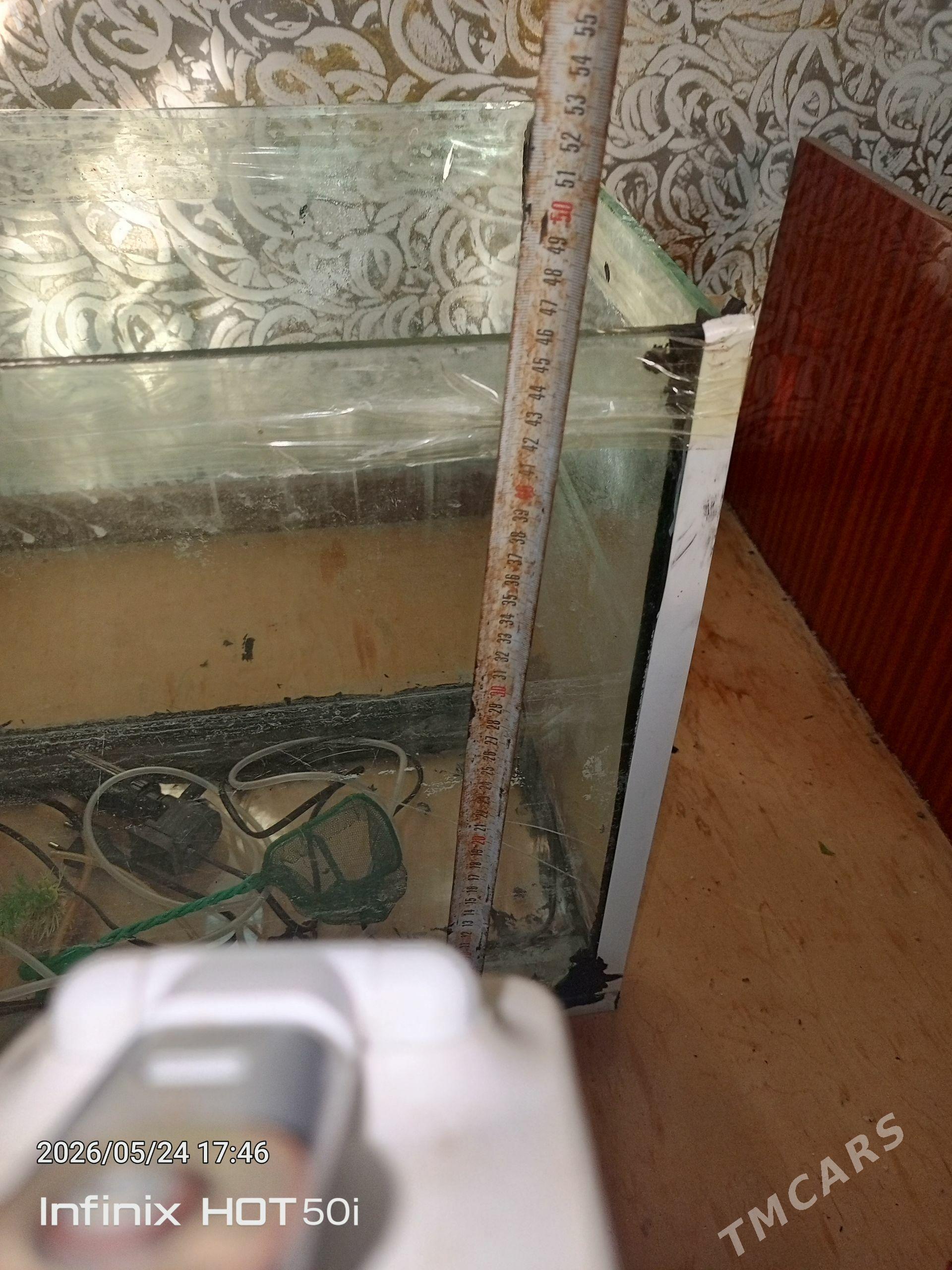 Akvarium 100lutr - Чарджоу - img 1