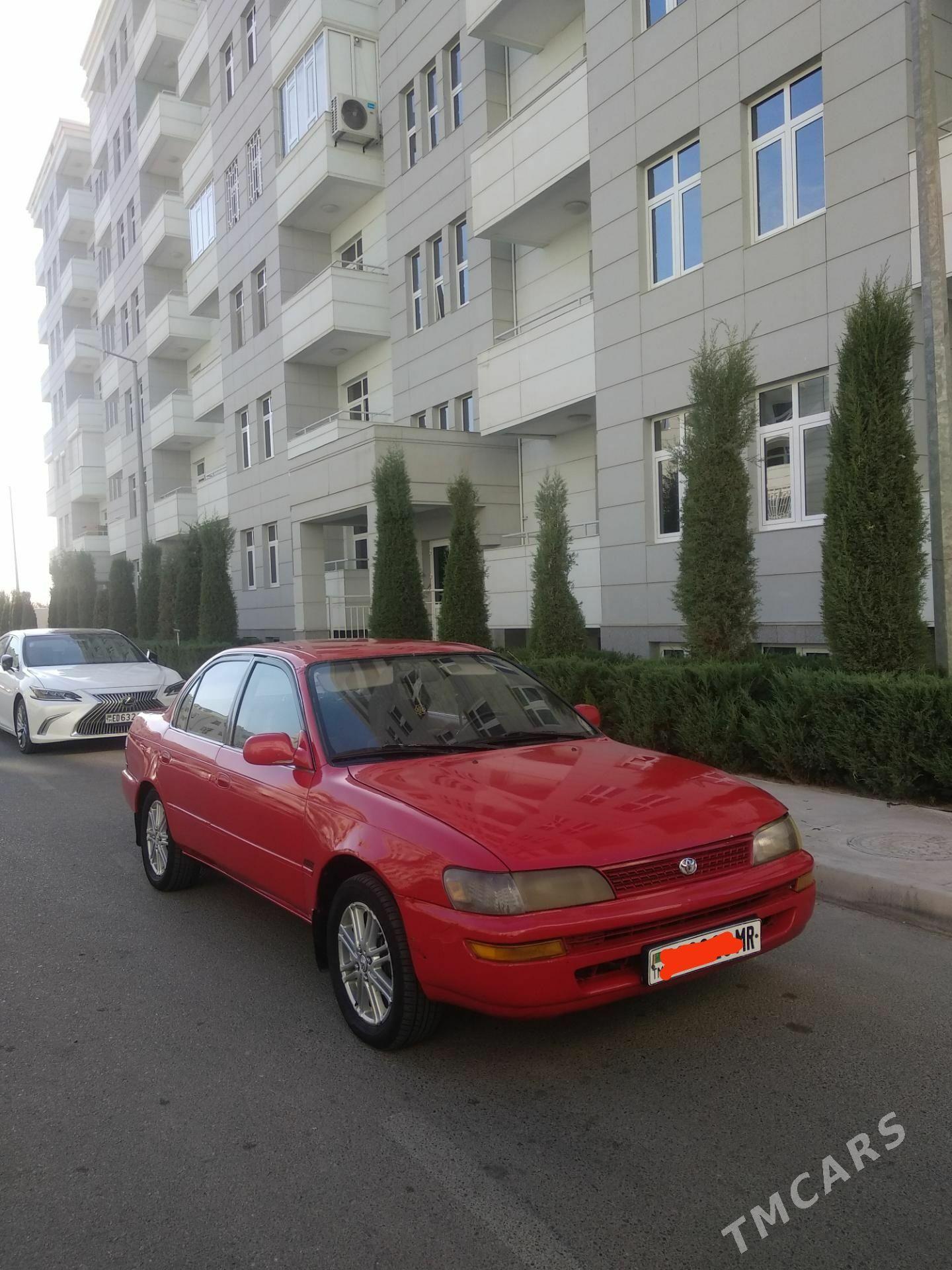 Toyota Corolla 1995 - 56 000 TMT - Mary - img 1