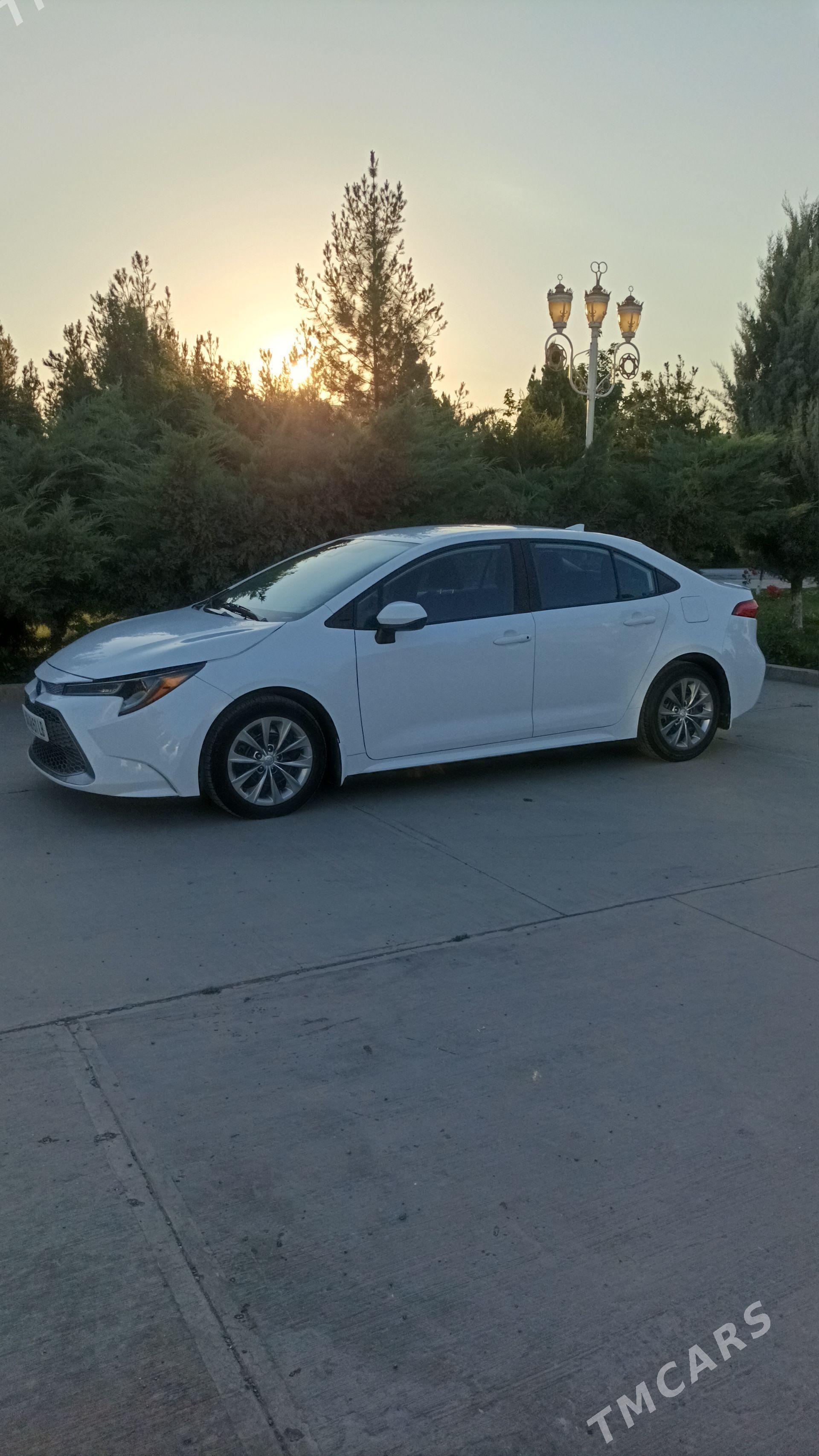 Toyota Corolla 2022 - 290 000 TMT - Туркменабат - img 1