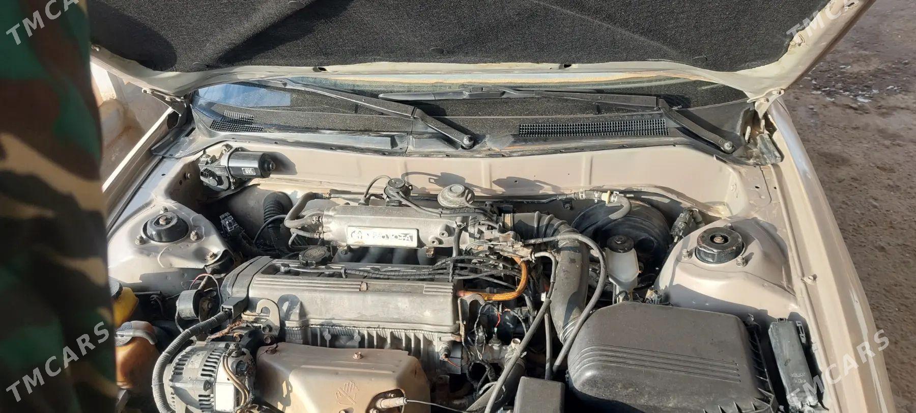 Toyota Camry 1995 - 120 000 TMT - Akdepe - img 1
